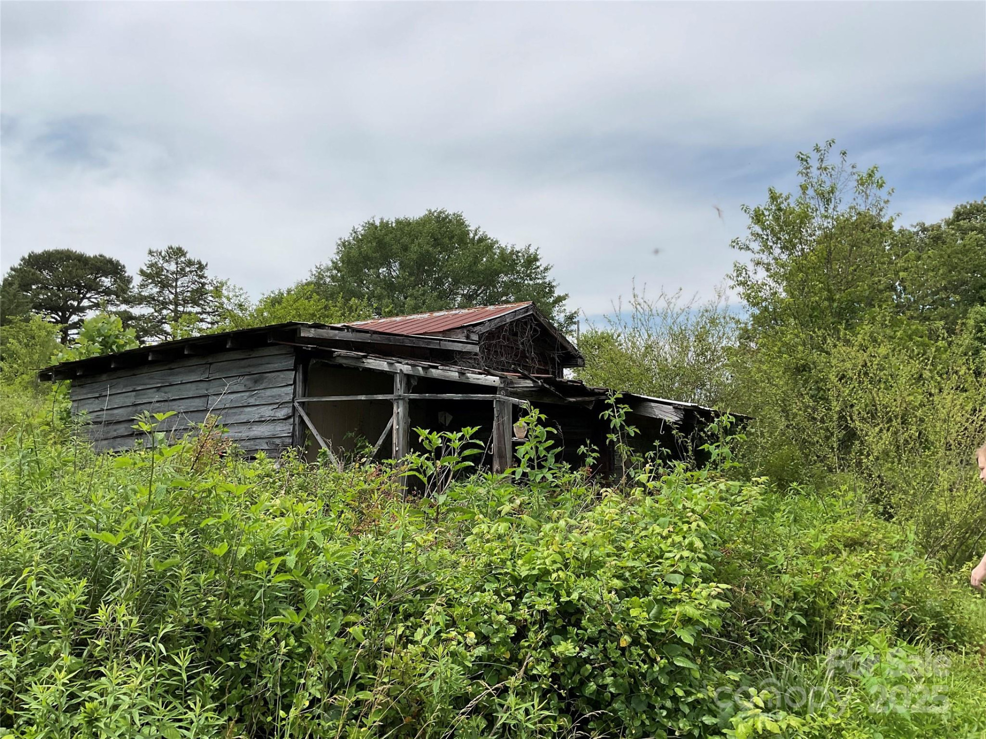 4282 Mount Gilead Church Road - Photo 10