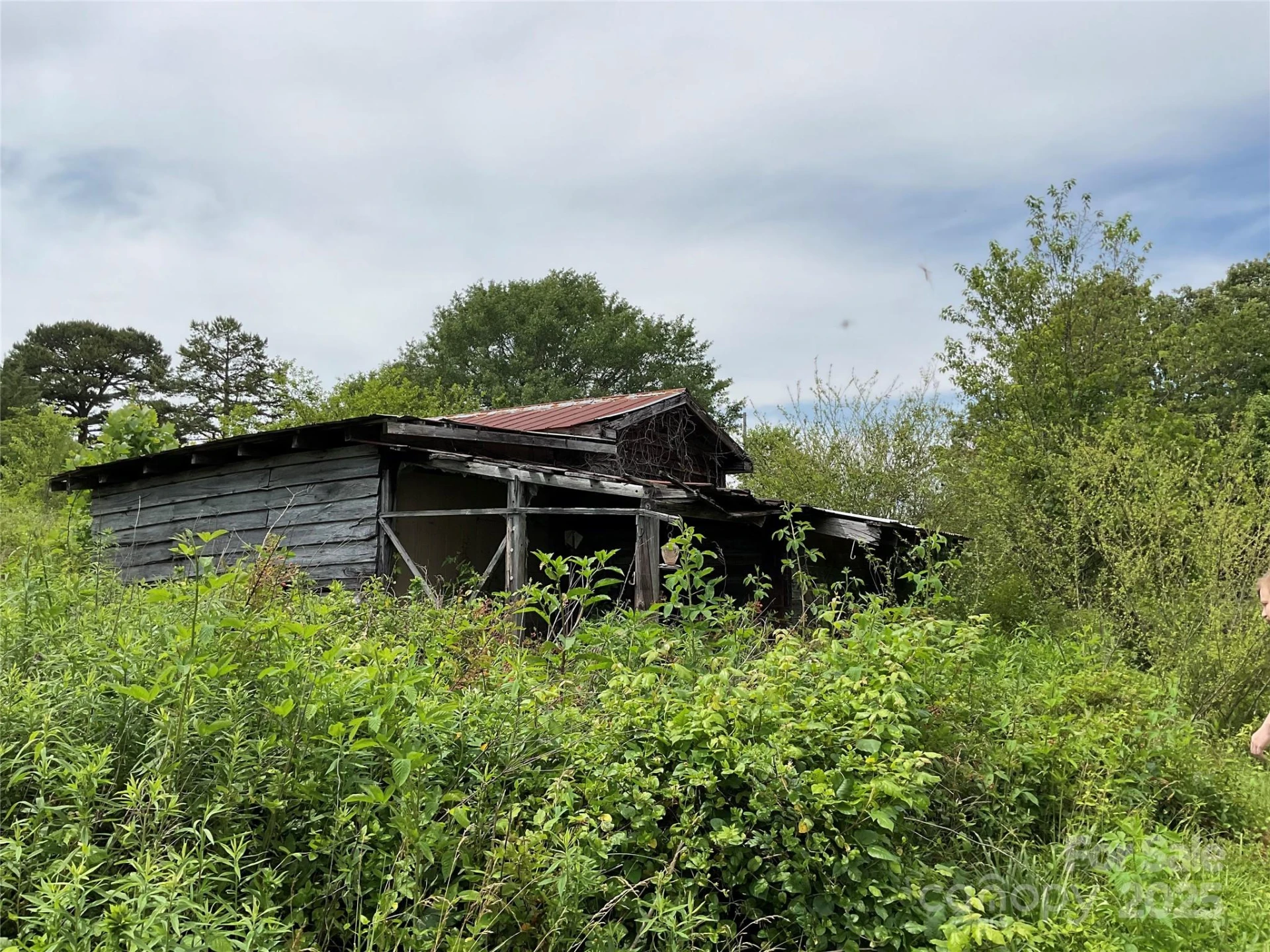 4282 Mount Gilead Church Road - Photo 10