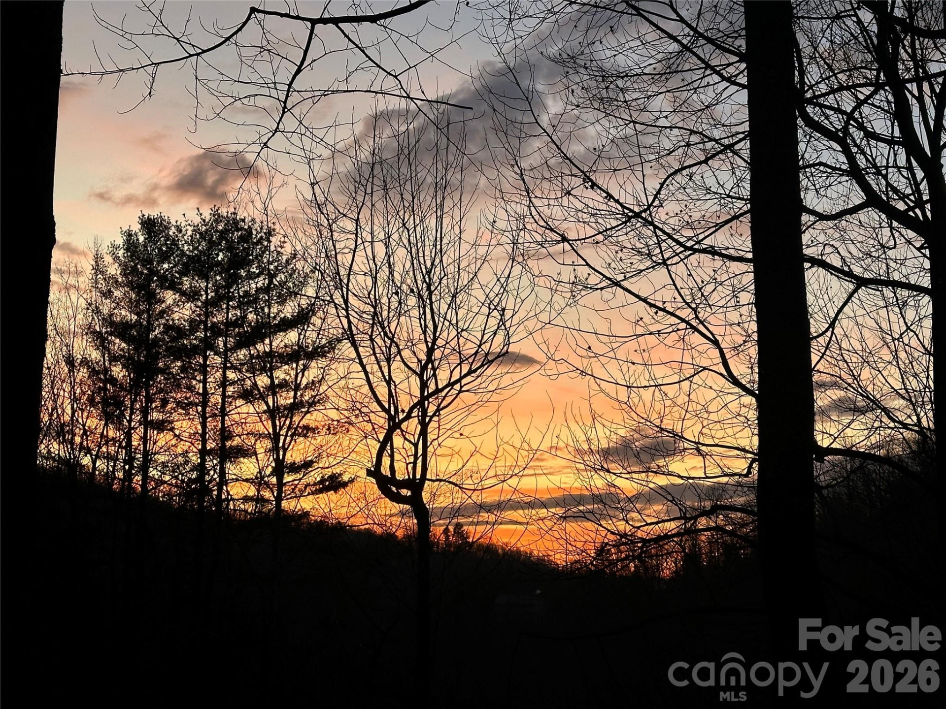 193 Timberside Drive - Photo 13