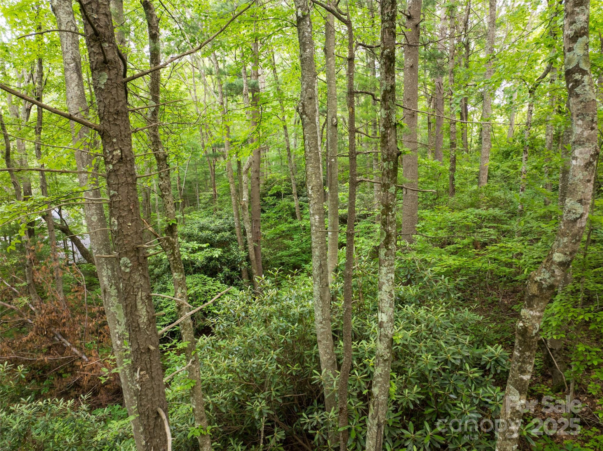 9999 White Oak Gap Road - Photo 11