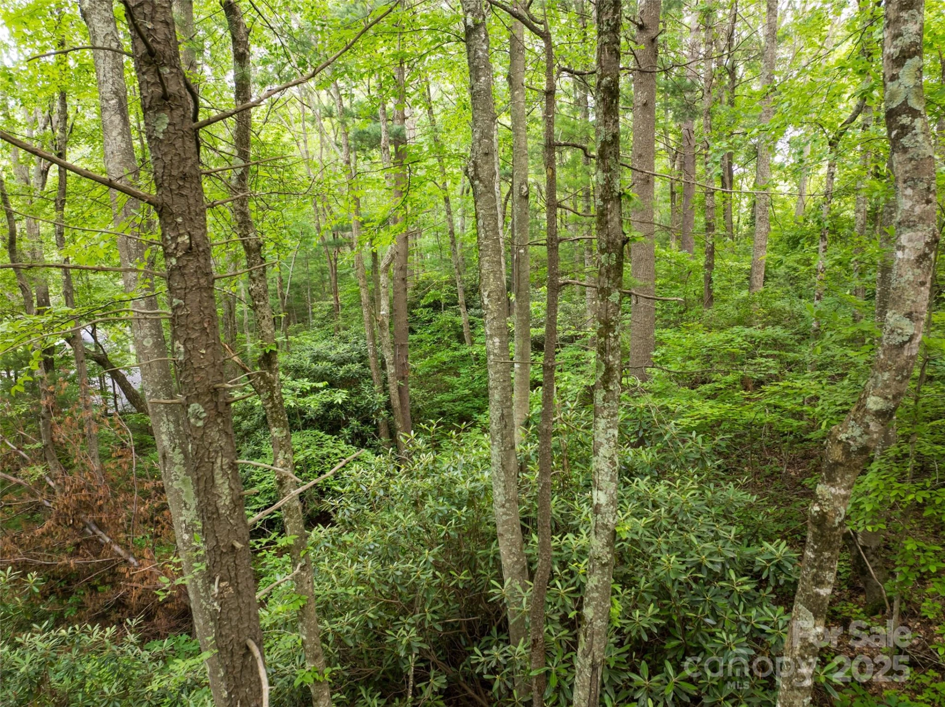 9999 White Oak Gap Road - Photo 11