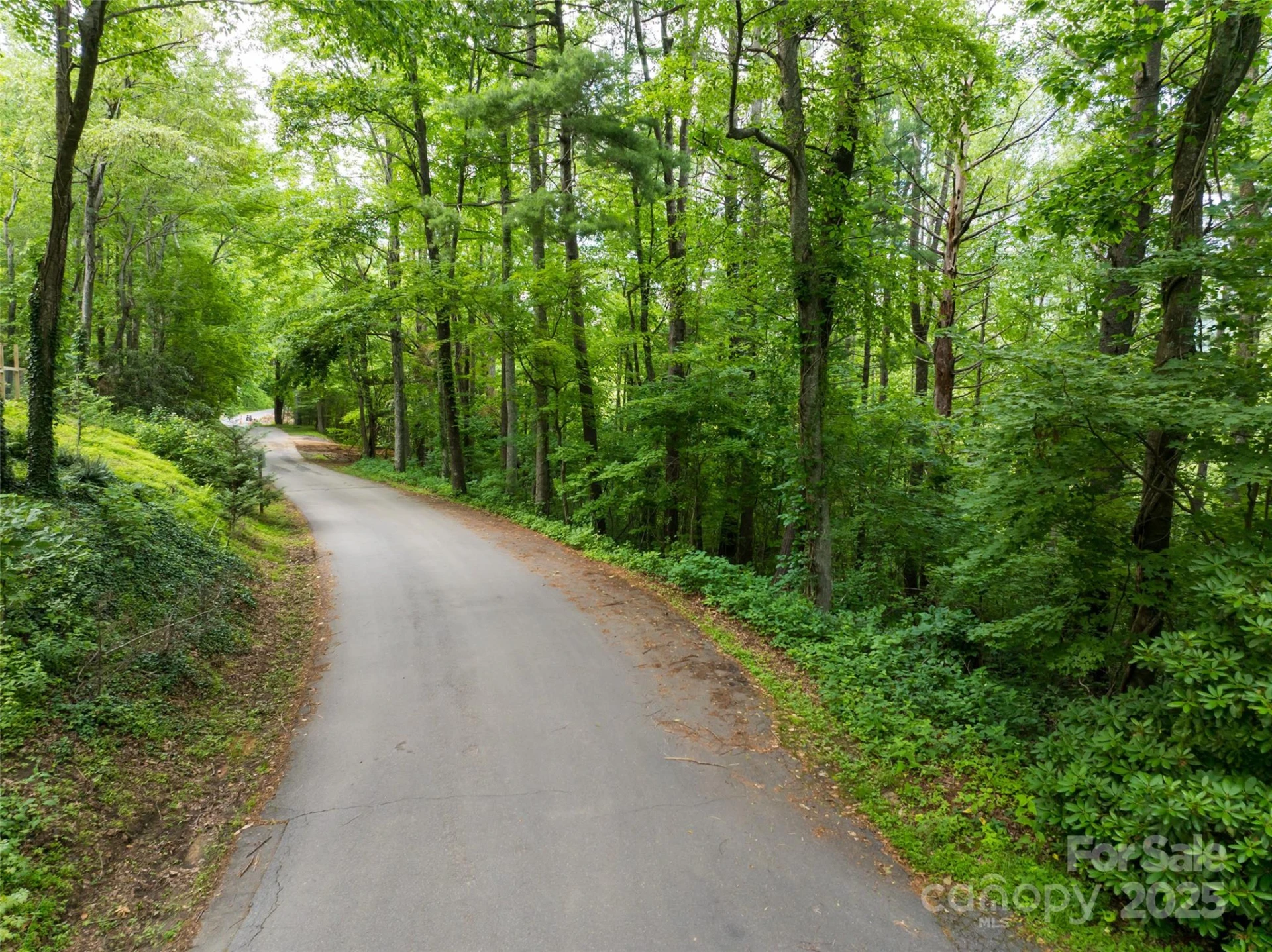 9999 White Oak Gap Road - Photo 12