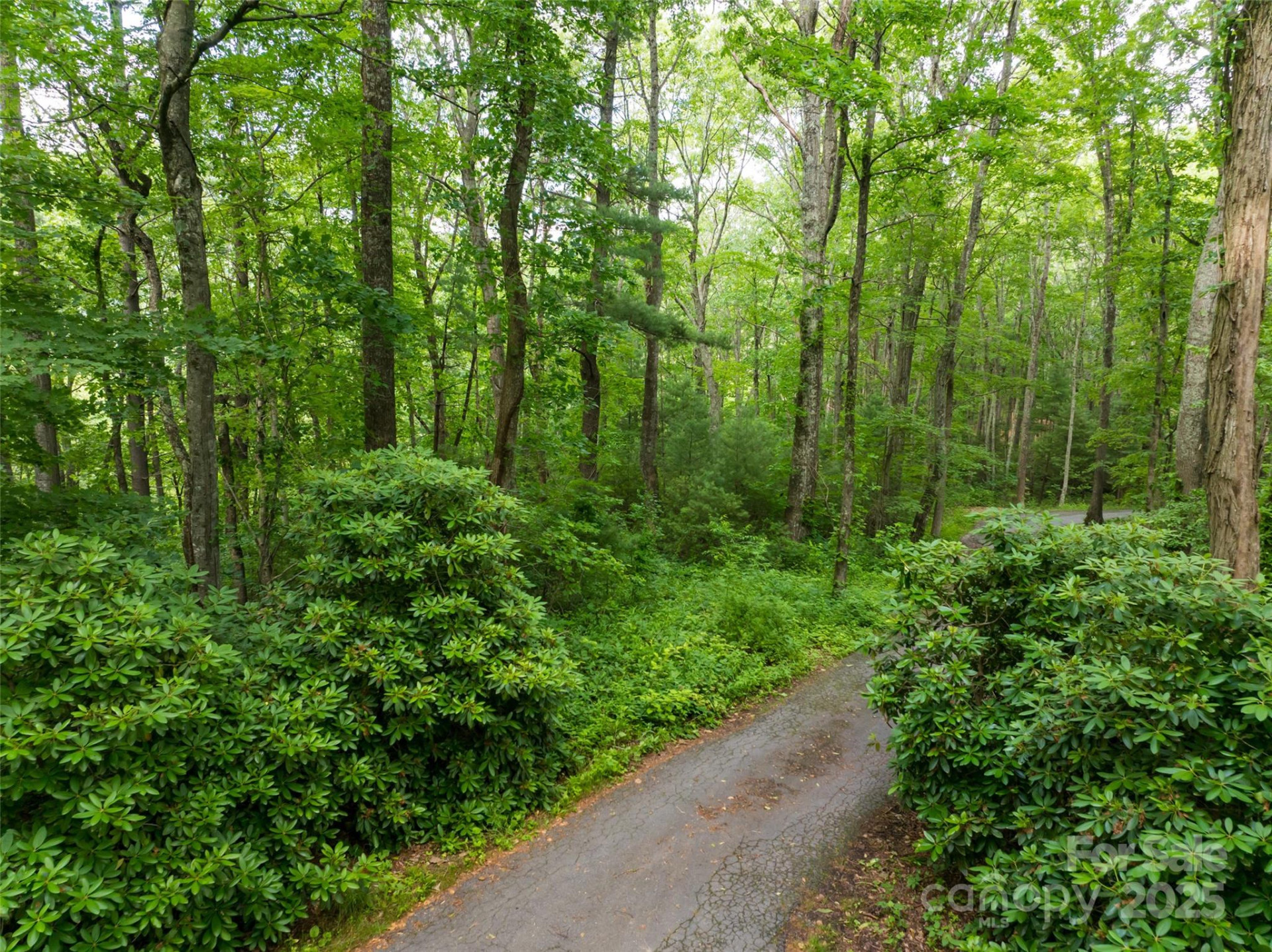 9999 White Oak Gap Road - Photo 13