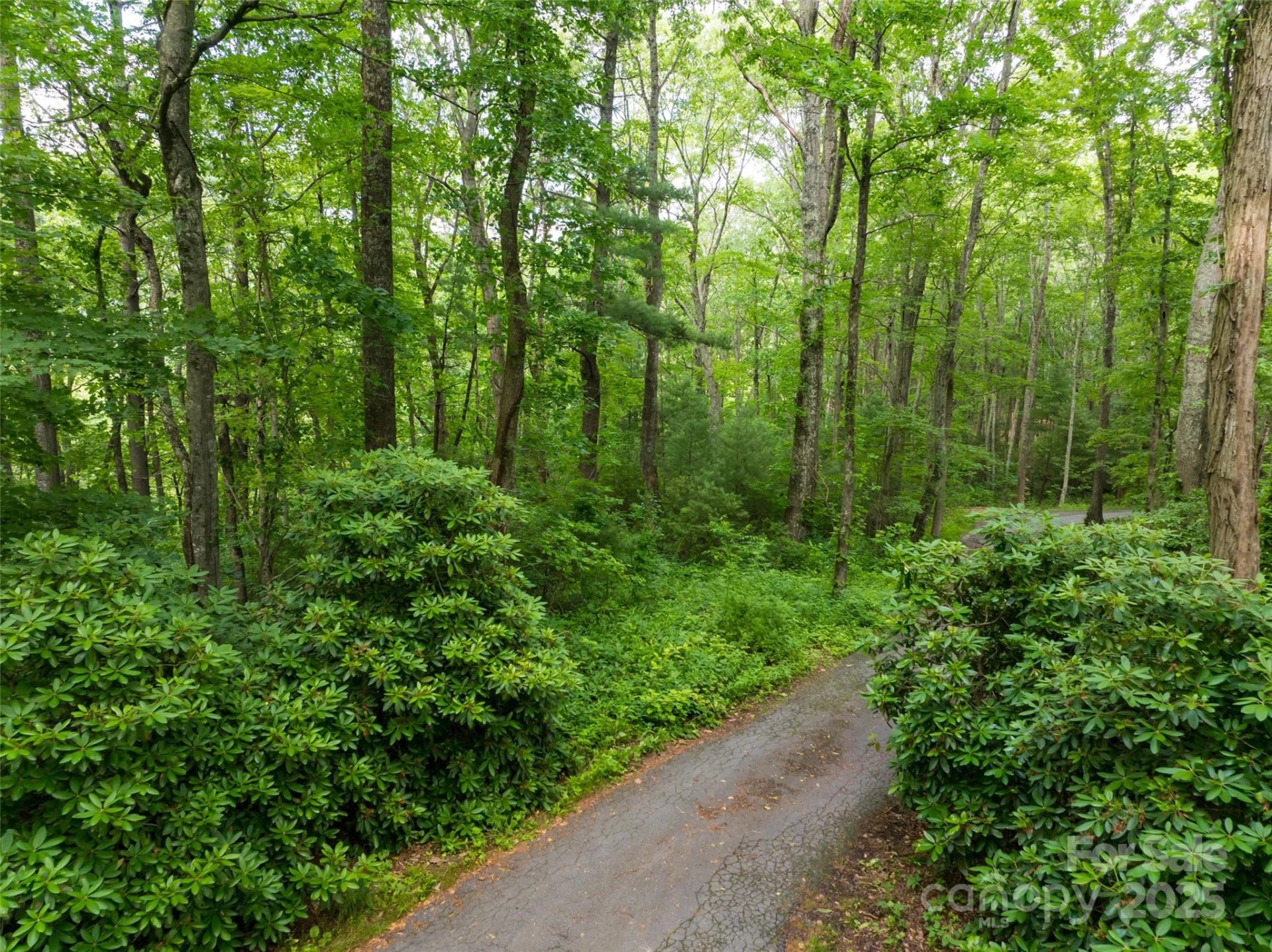 9999 White Oak Gap Road - Photo 13