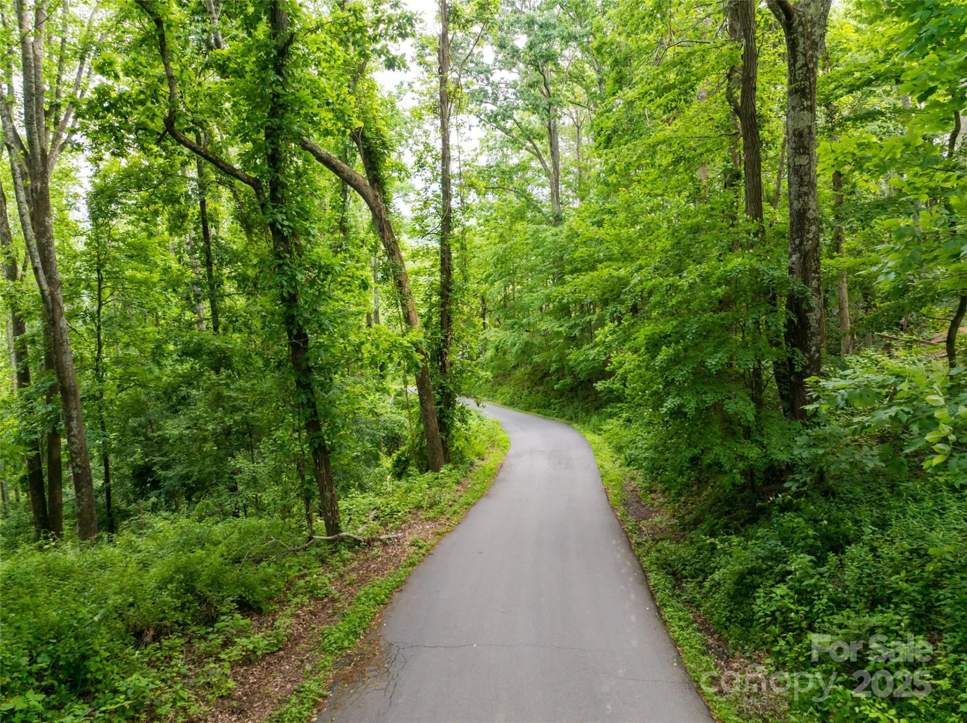 9999 White Oak Gap Road - Photo 14