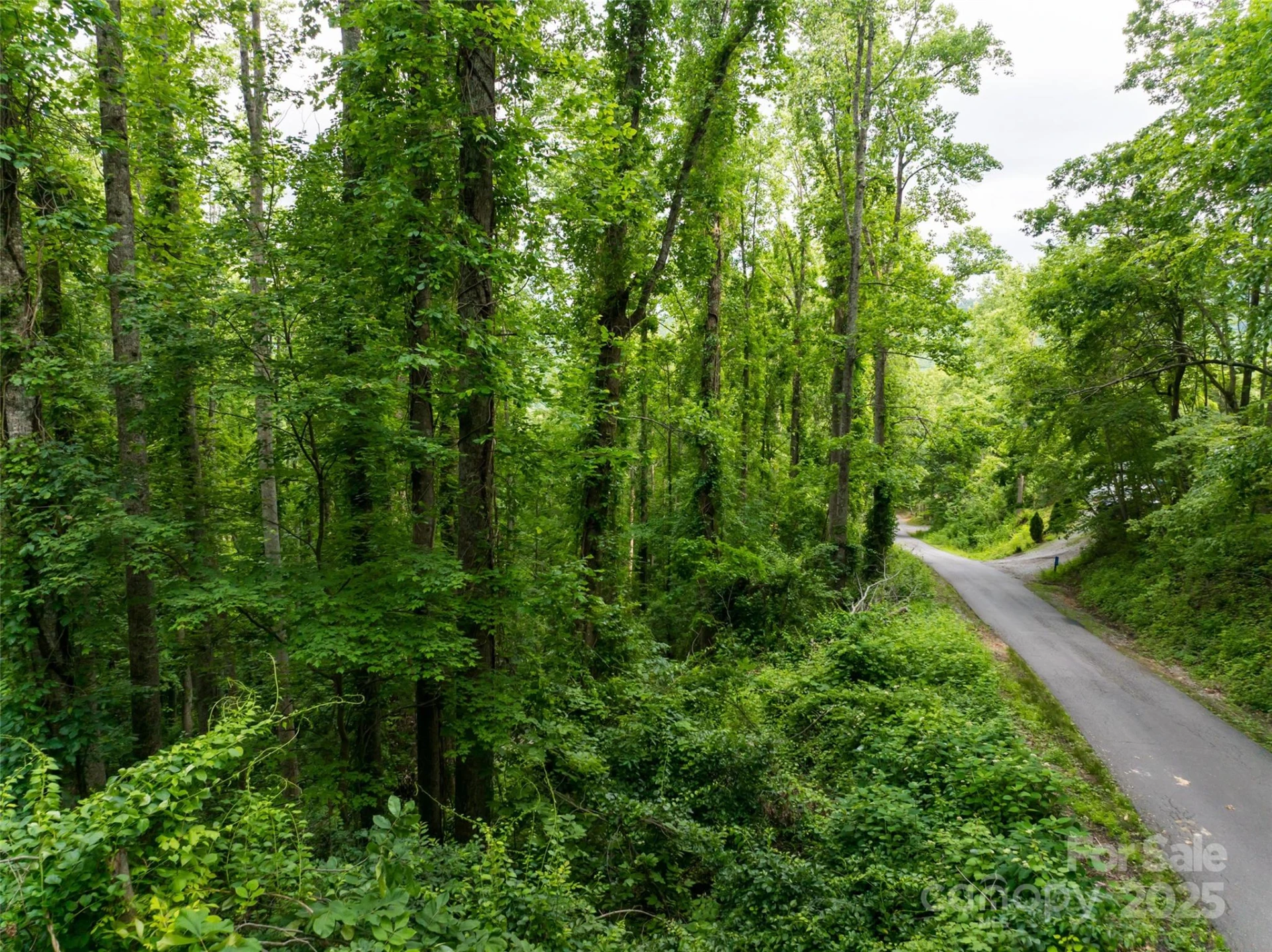 9999 White Oak Gap Road - Photo 15