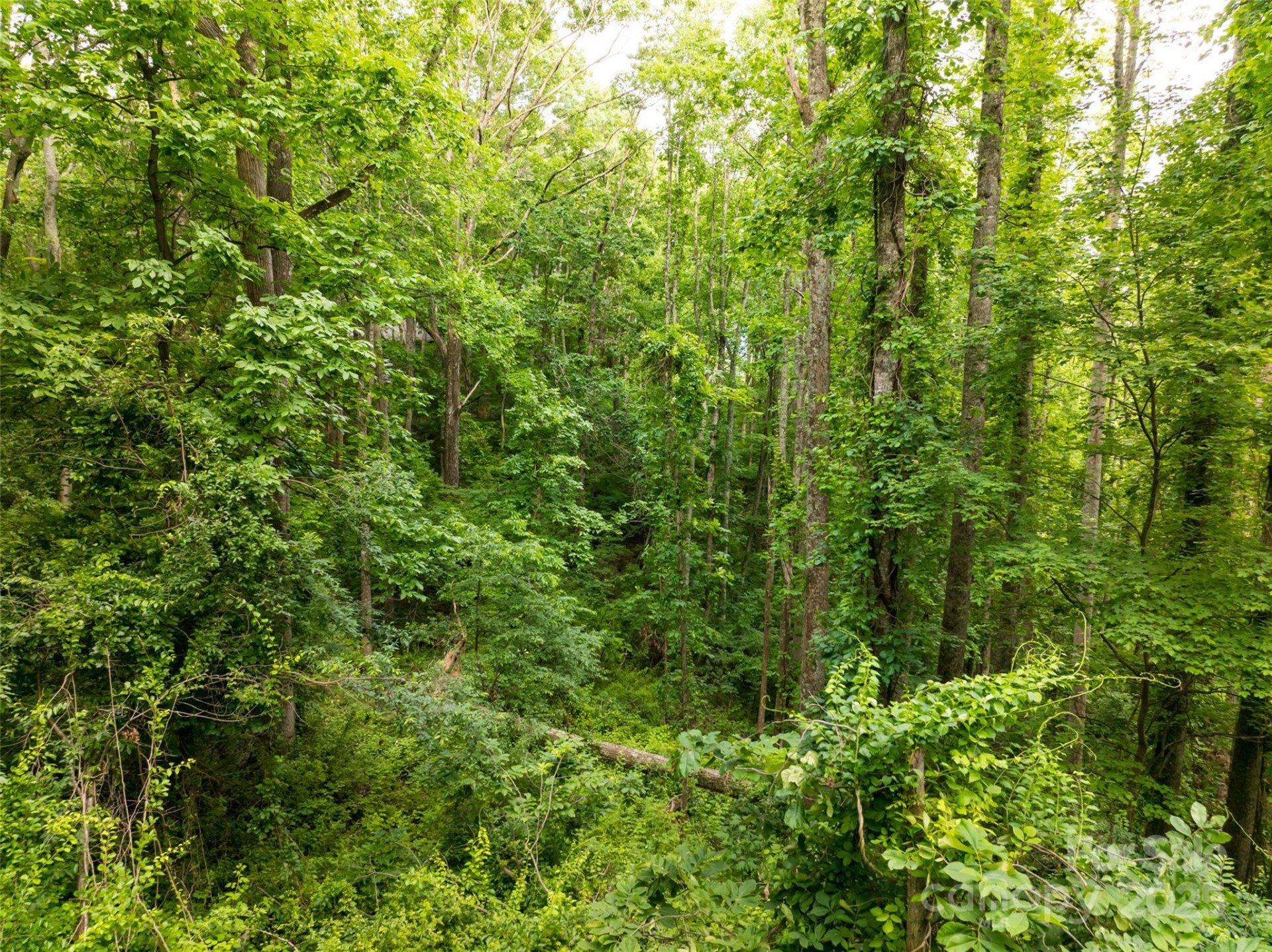 9999 White Oak Gap Road - Photo 16