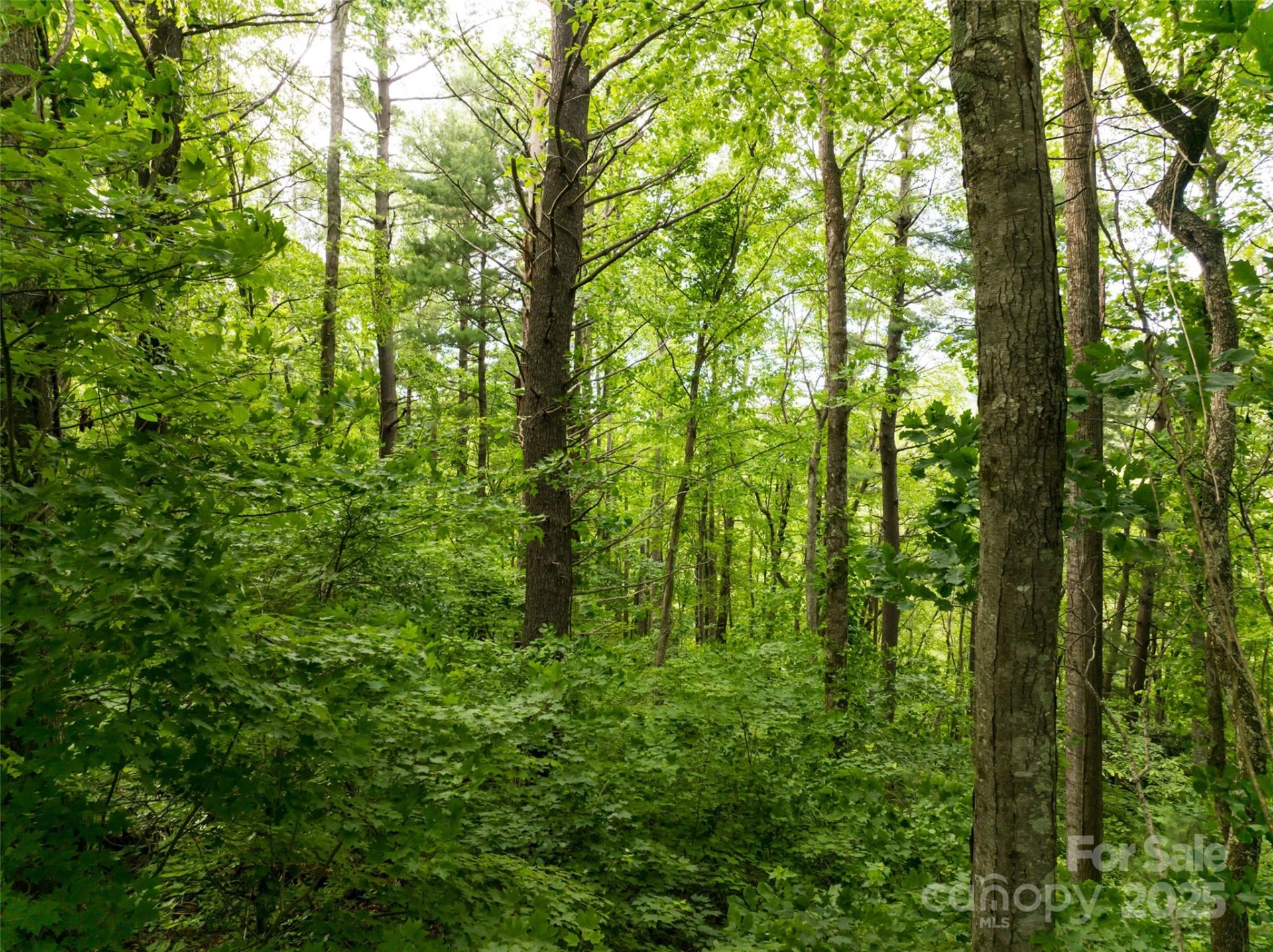 9999 White Oak Gap Road - Photo 3