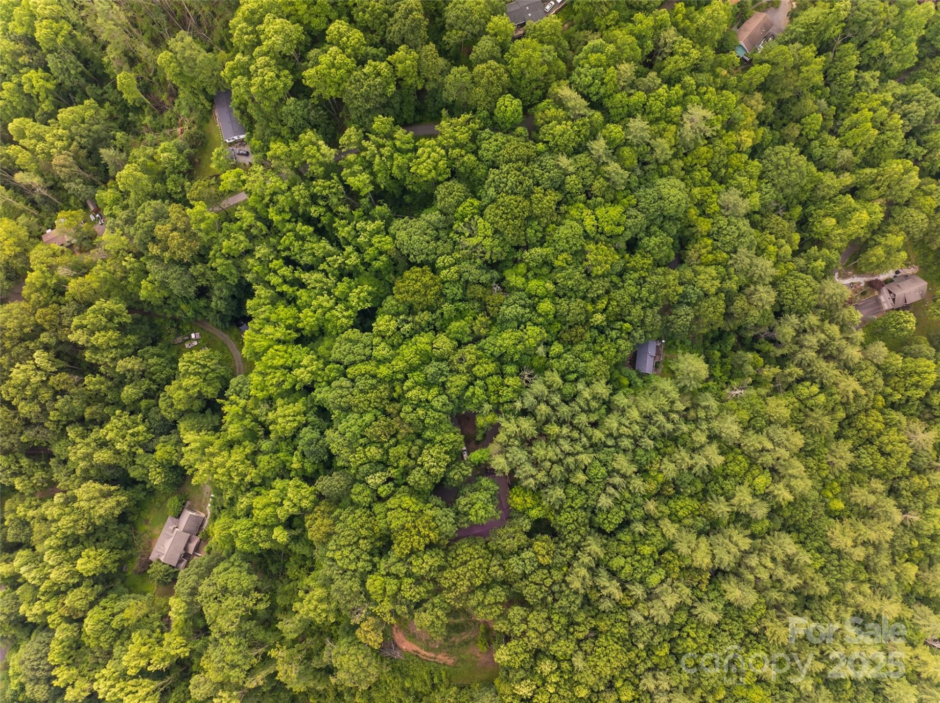 9999 White Oak Gap Road - Photo 21
