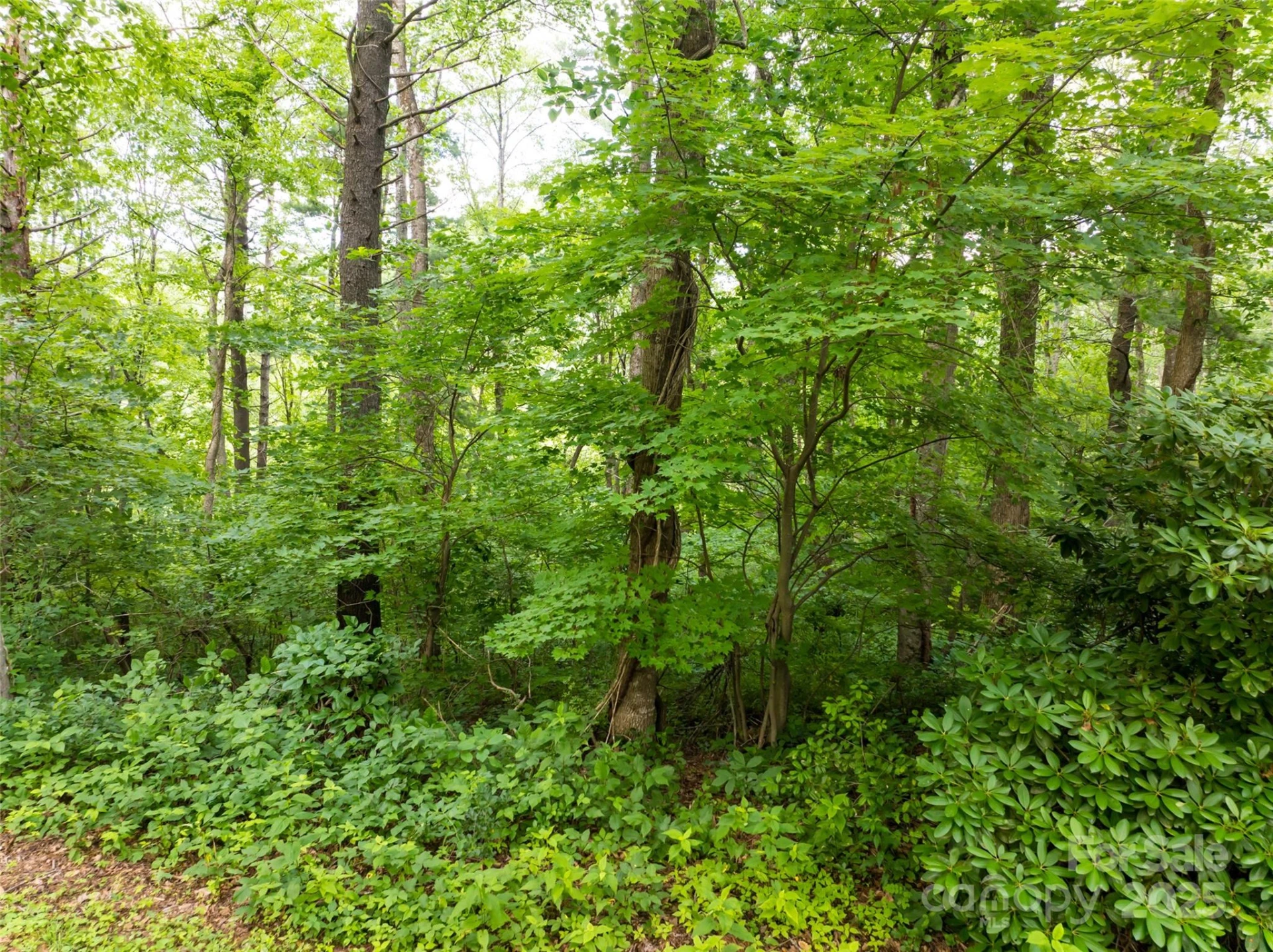9999 White Oak Gap Road - Photo 23