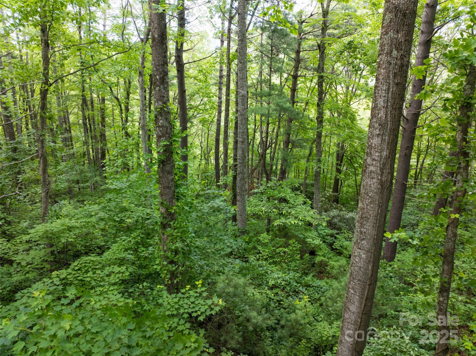 9999 White Oak Gap Road - Photo 4