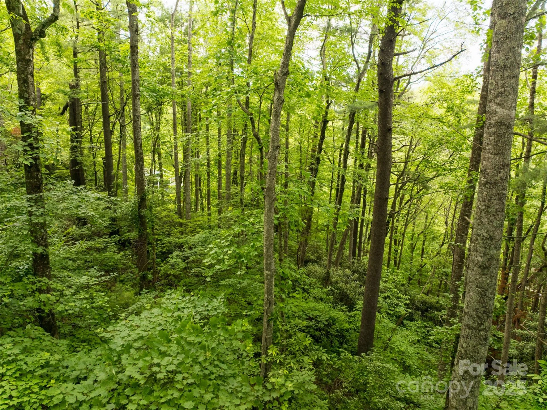 9999 White Oak Gap Road - Photo 5