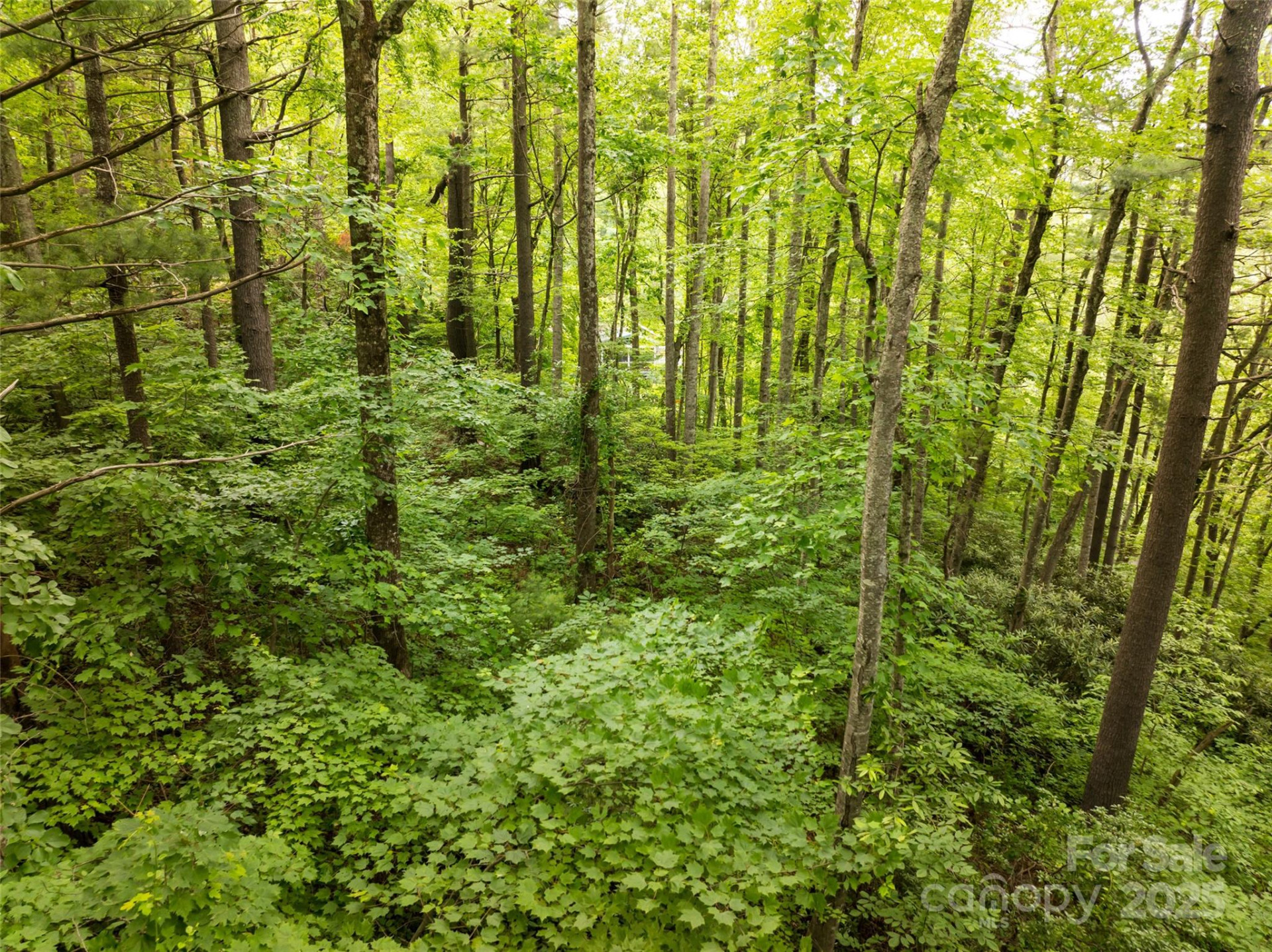 9999 White Oak Gap Road - Photo 6
