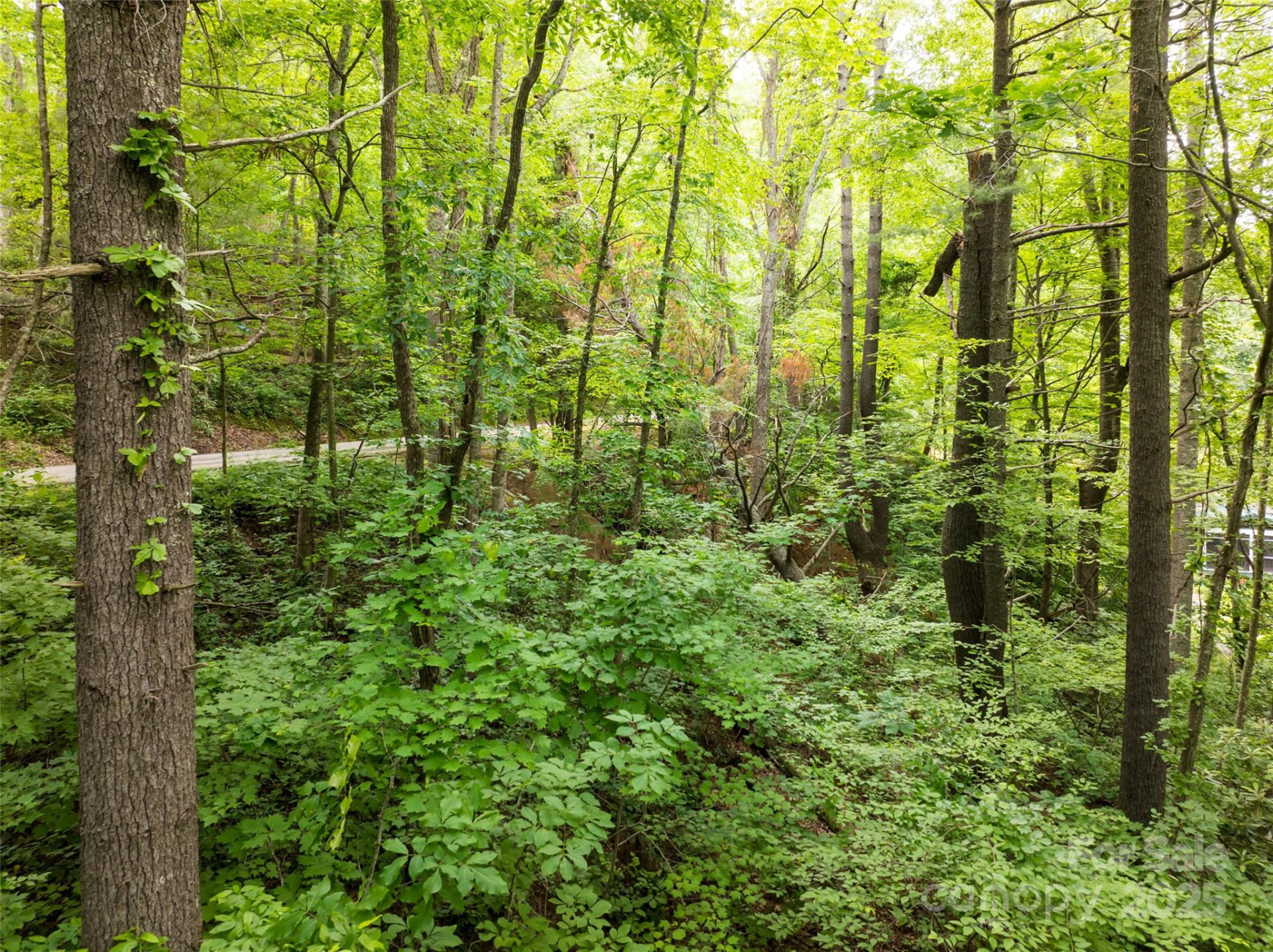 9999 White Oak Gap Road - Photo 7