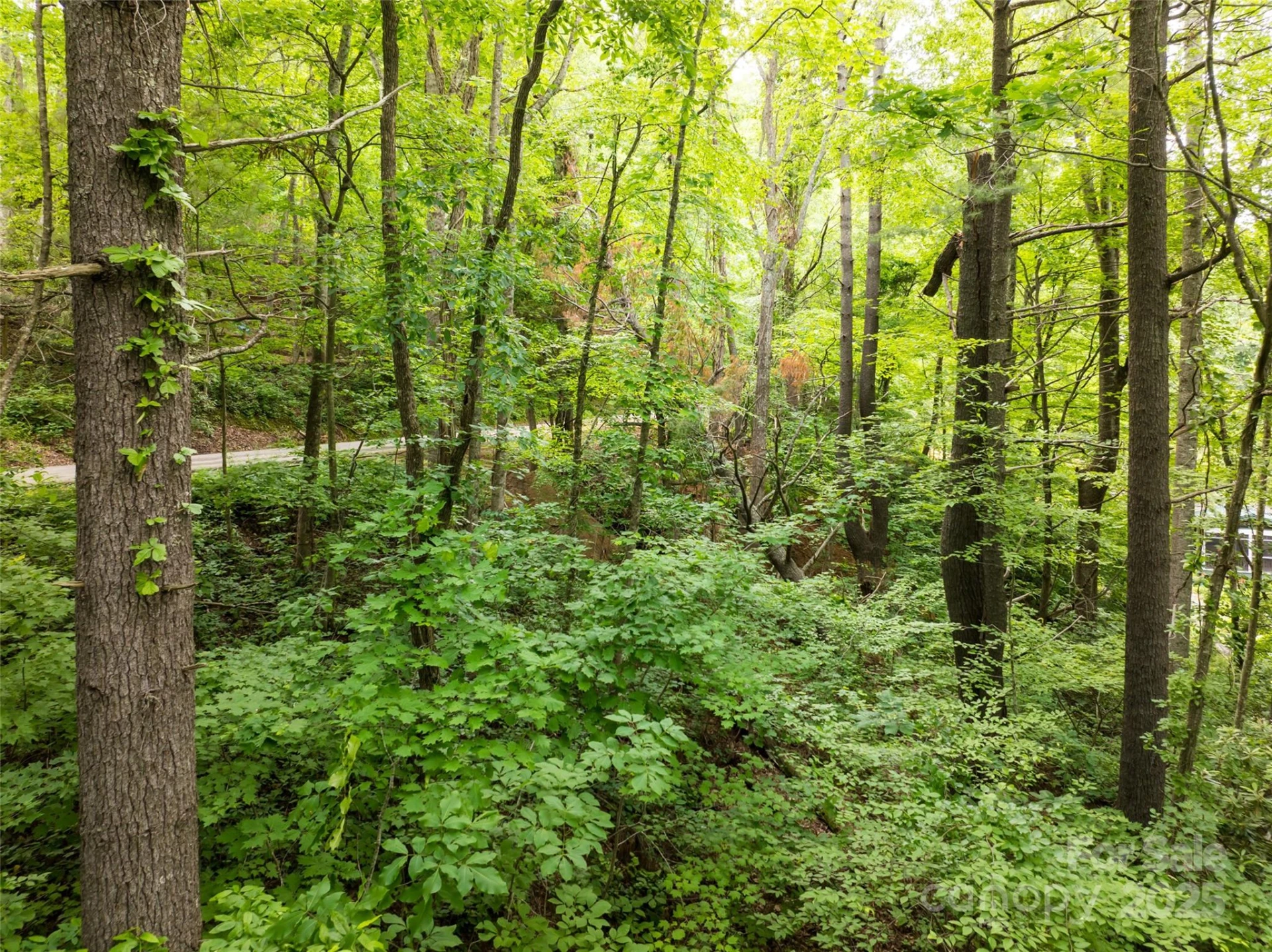9999 White Oak Gap Road - Photo 7