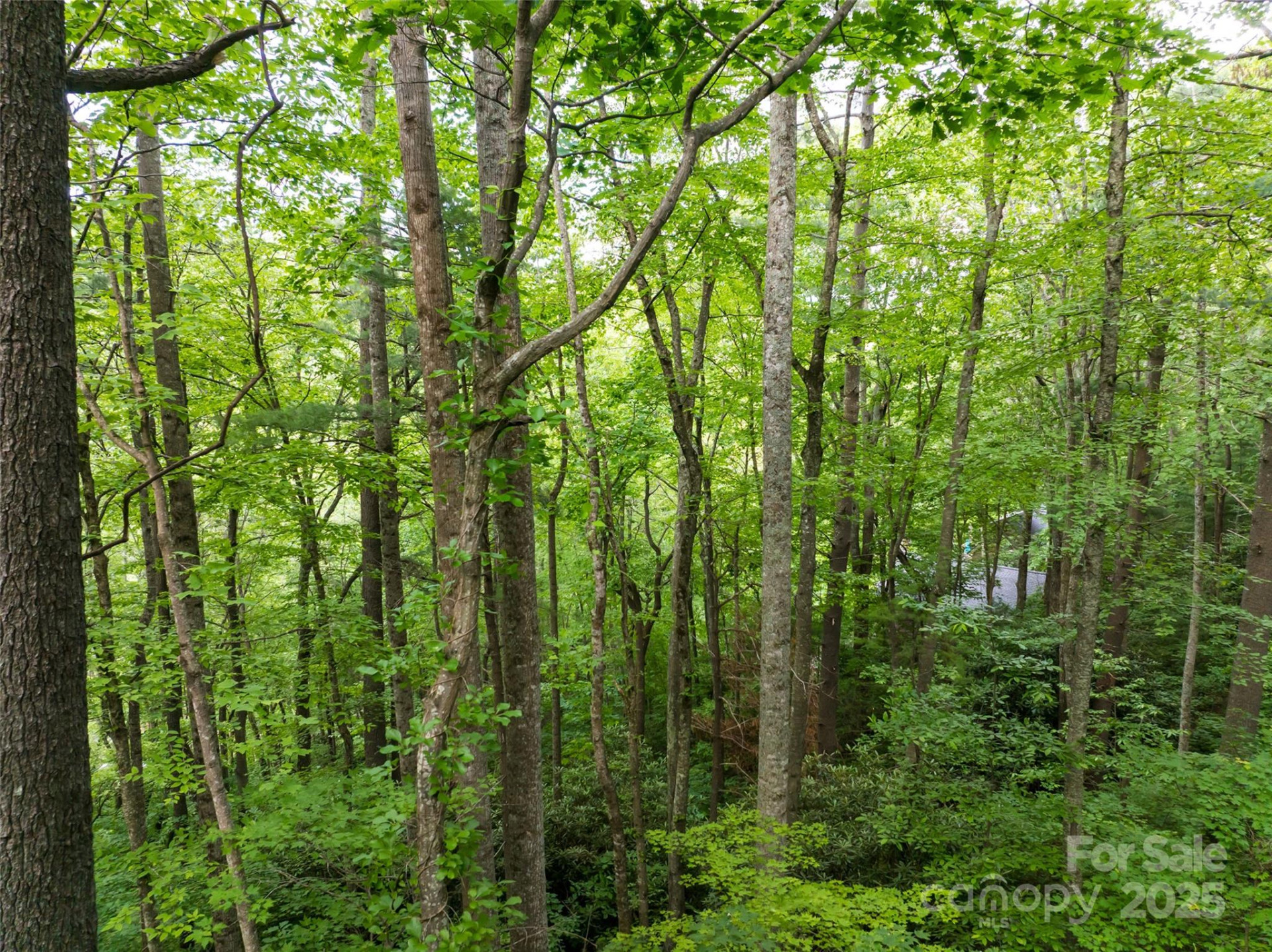 9999 White Oak Gap Road - Photo 8
