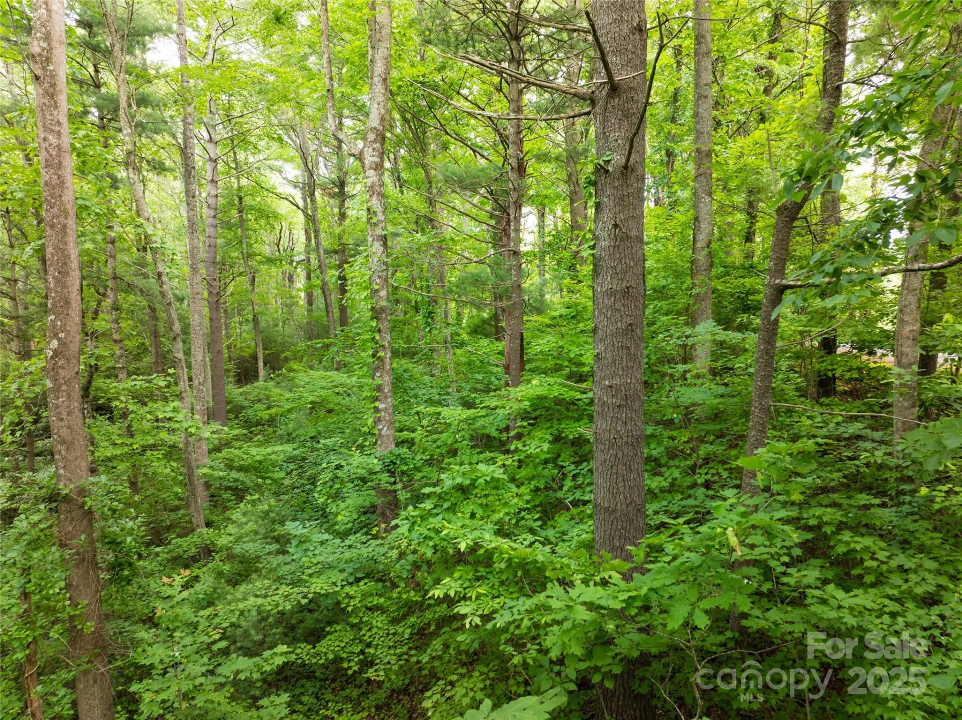 9999 White Oak Gap Road - Photo 9