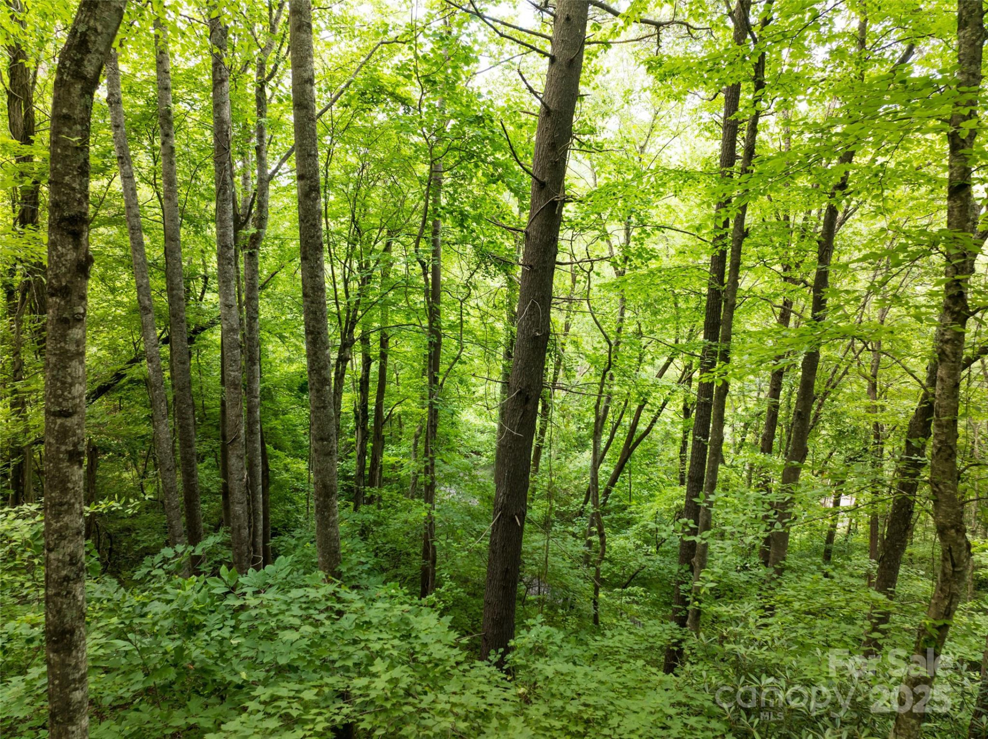9999 White Oak Gap Road - Photo 10