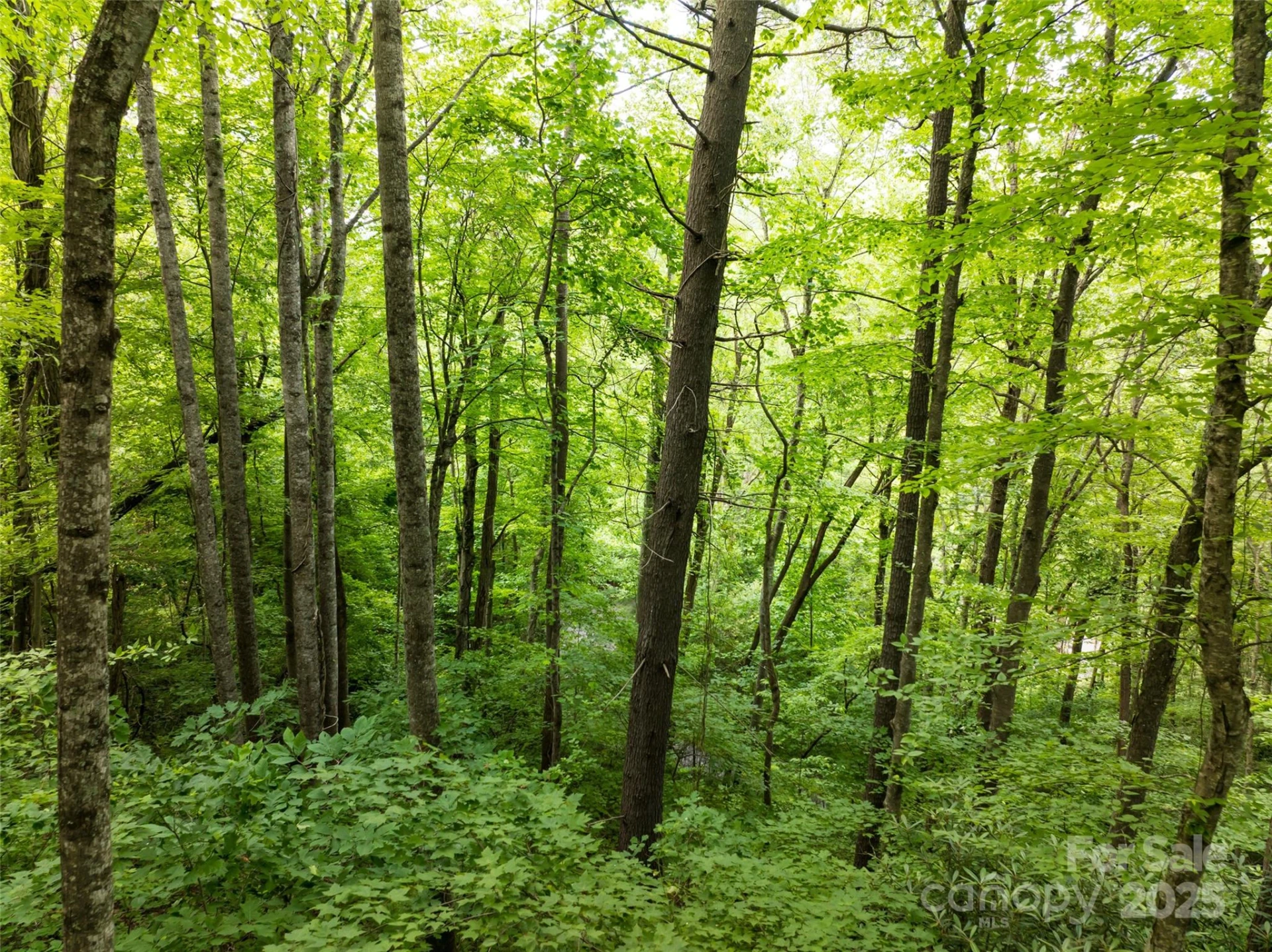 9999 White Oak Gap Road - Photo 10