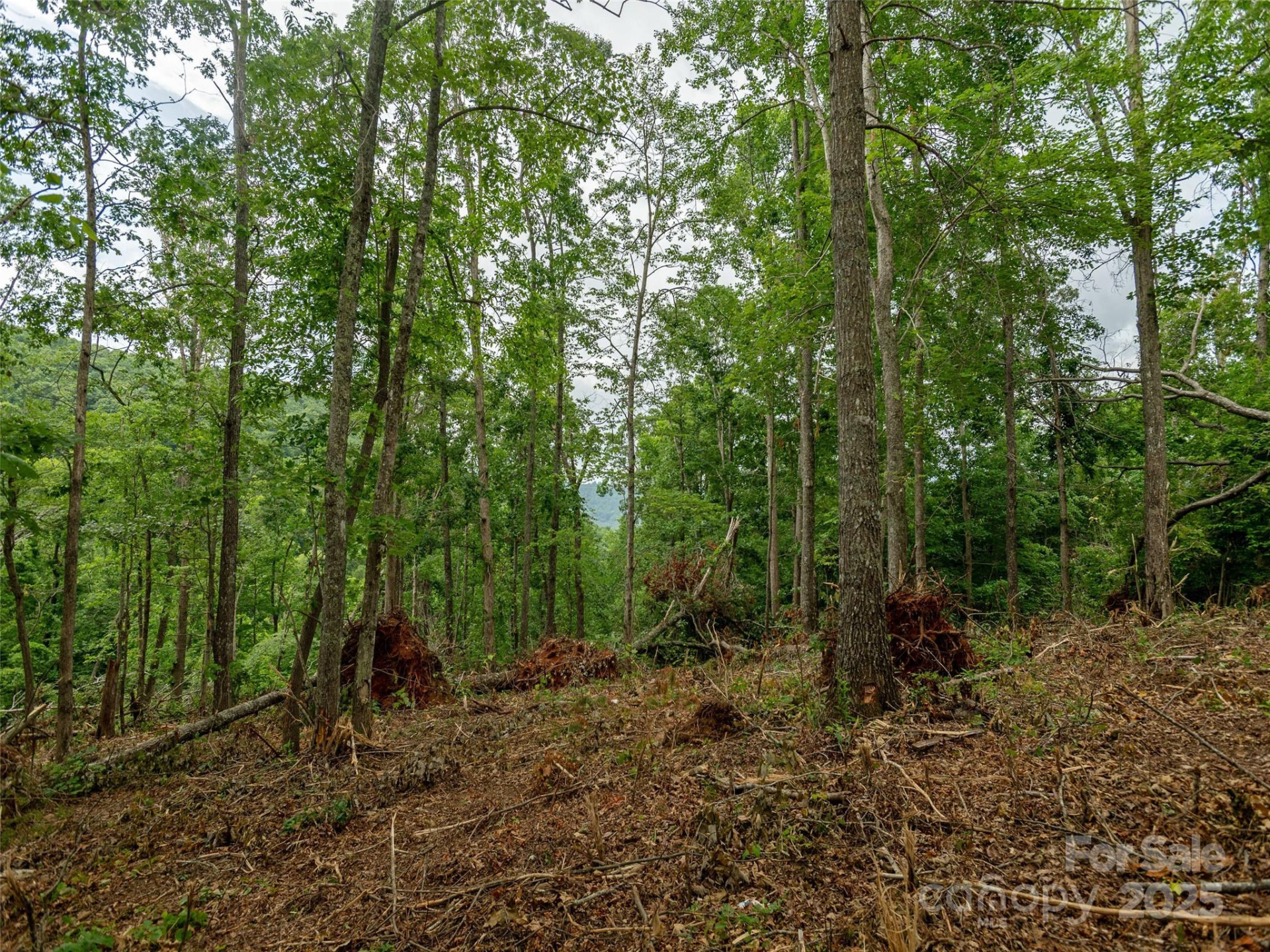 28 Windcliff Drive - Photo 6