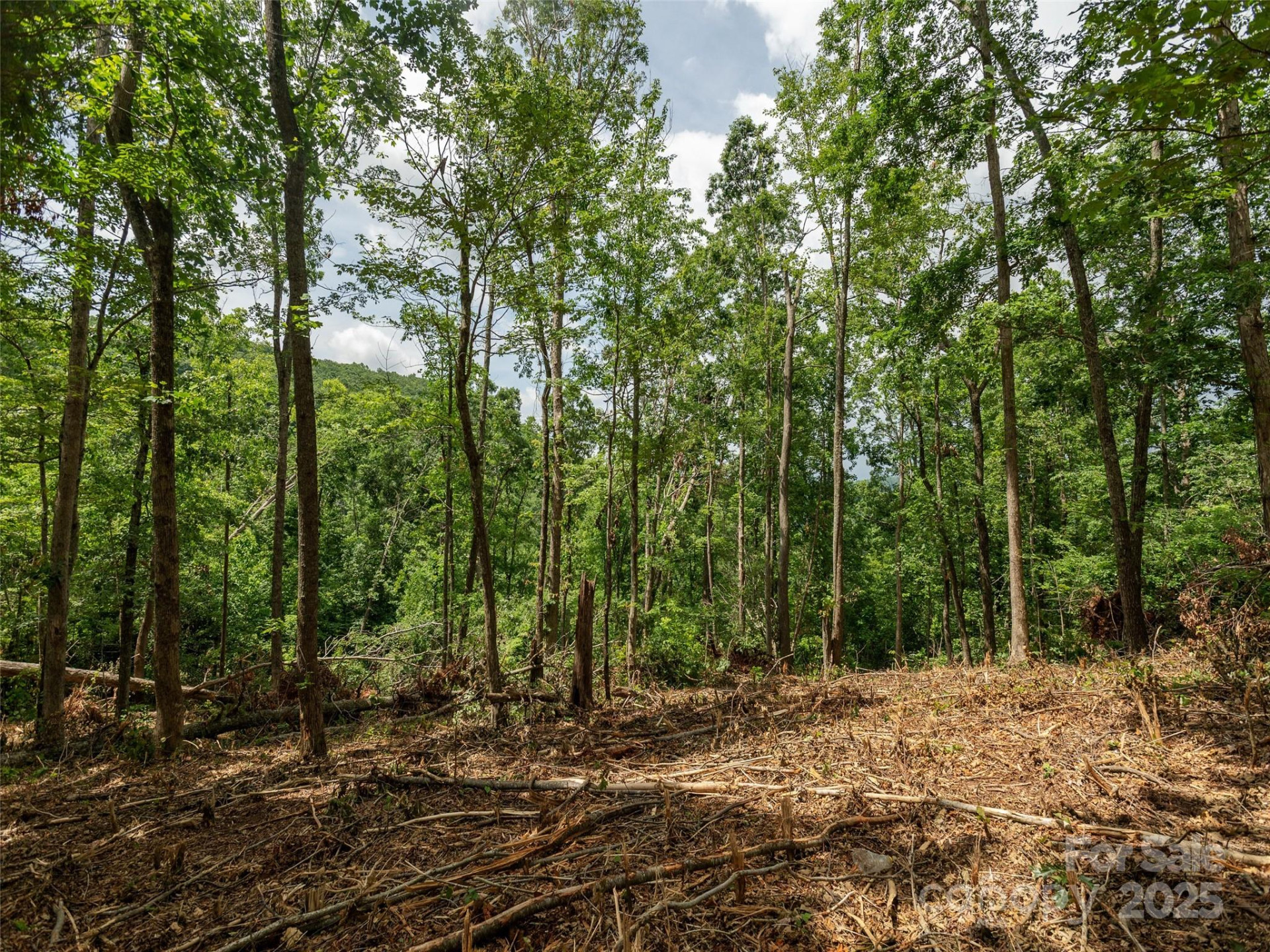 28 Windcliff Drive - Photo 7