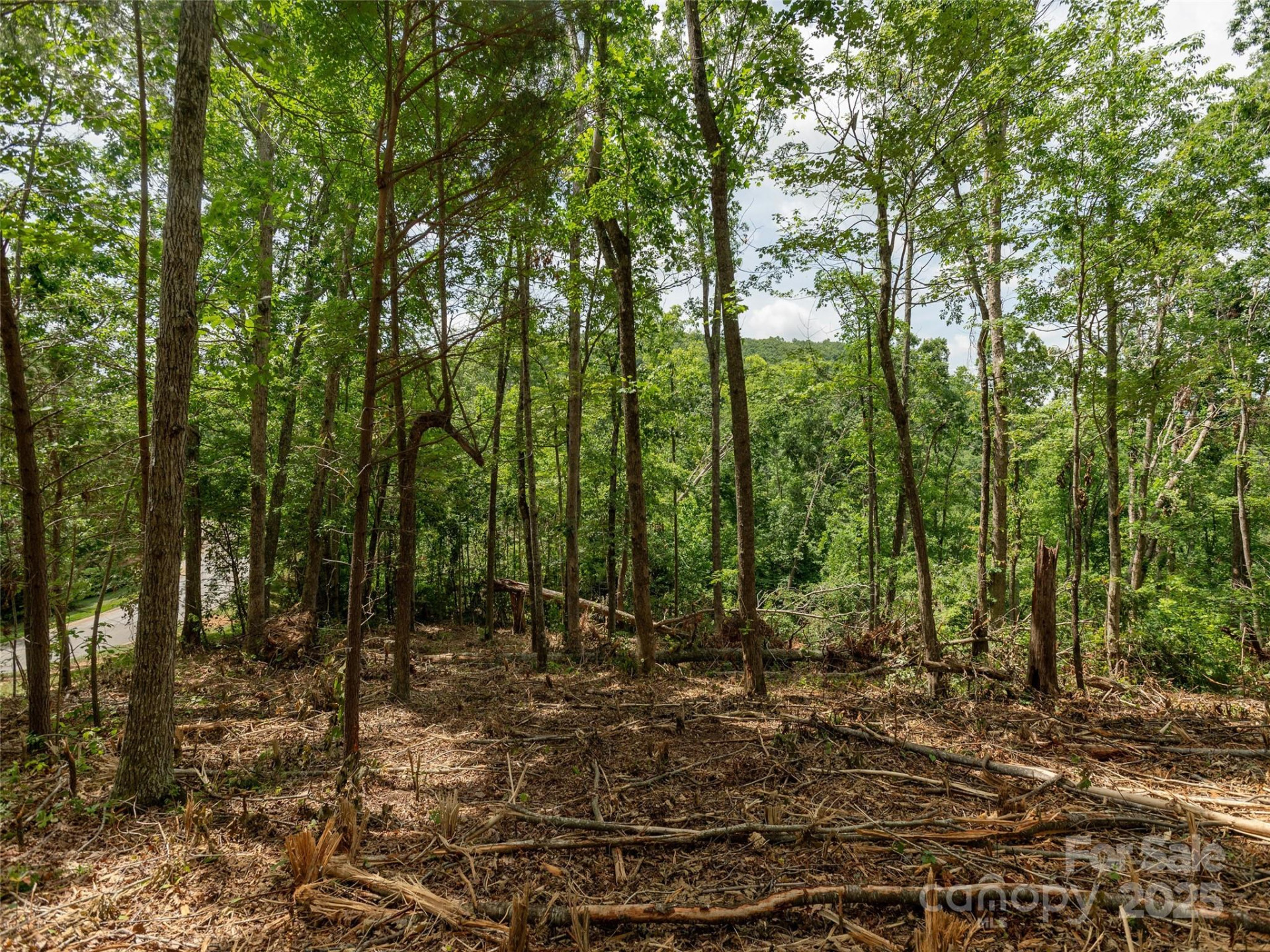 28 Windcliff Drive - Photo 8