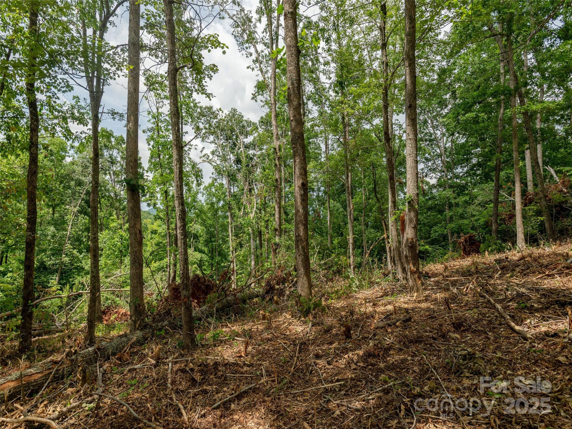 28 Windcliff Drive - Photo 9