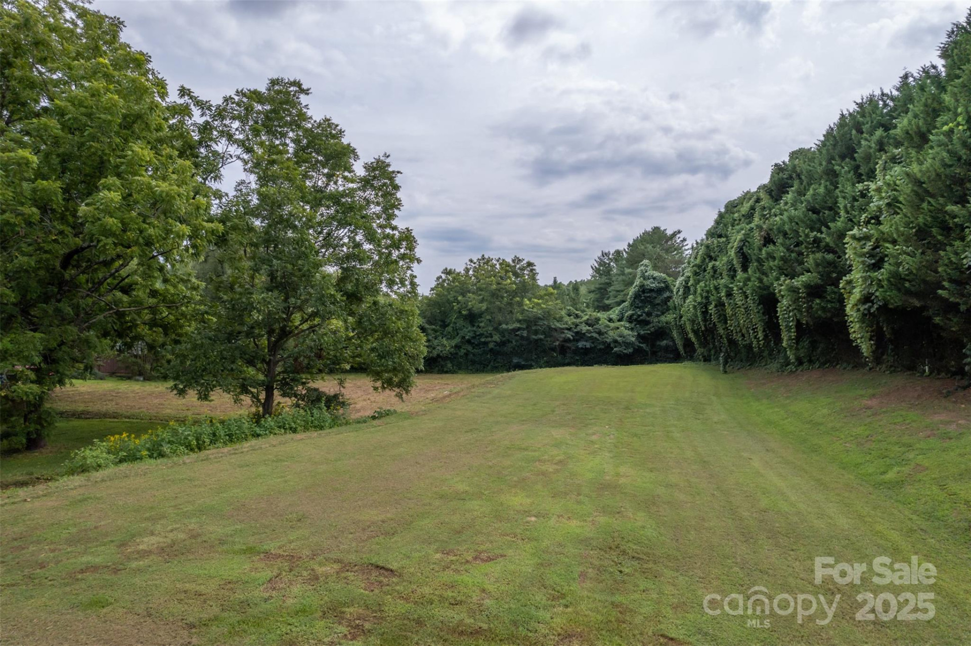 0 NC Hwy 108 Highway - Photo 14