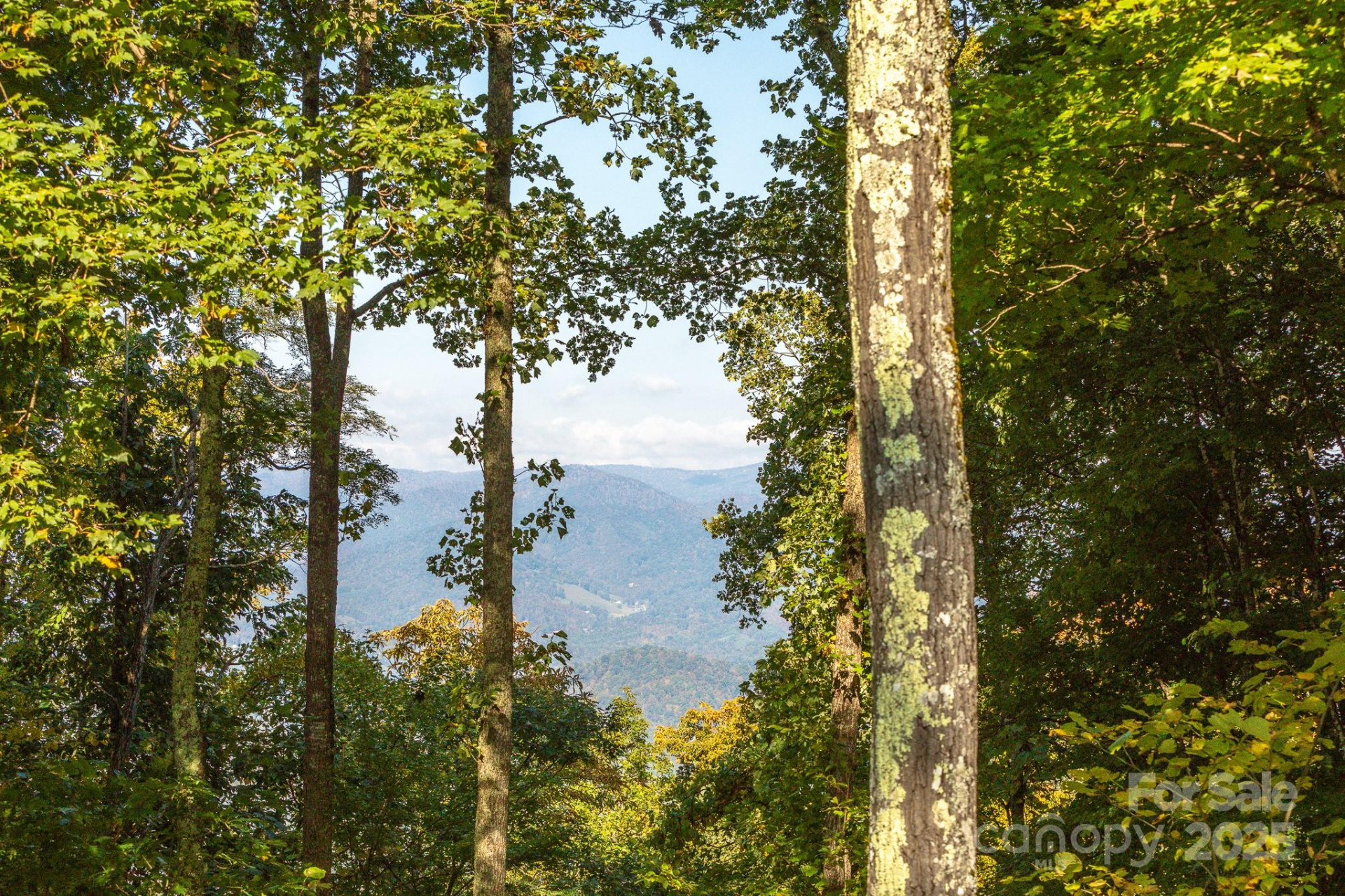 Lot 2 Ball Hooter Road #2/6 - Photo 12