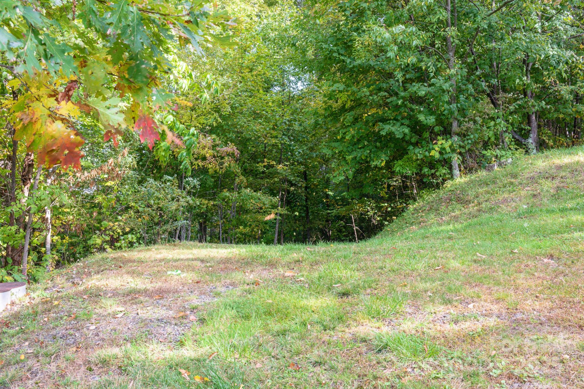 Lot 2 Ball Hooter Road #2/6 - Photo 14