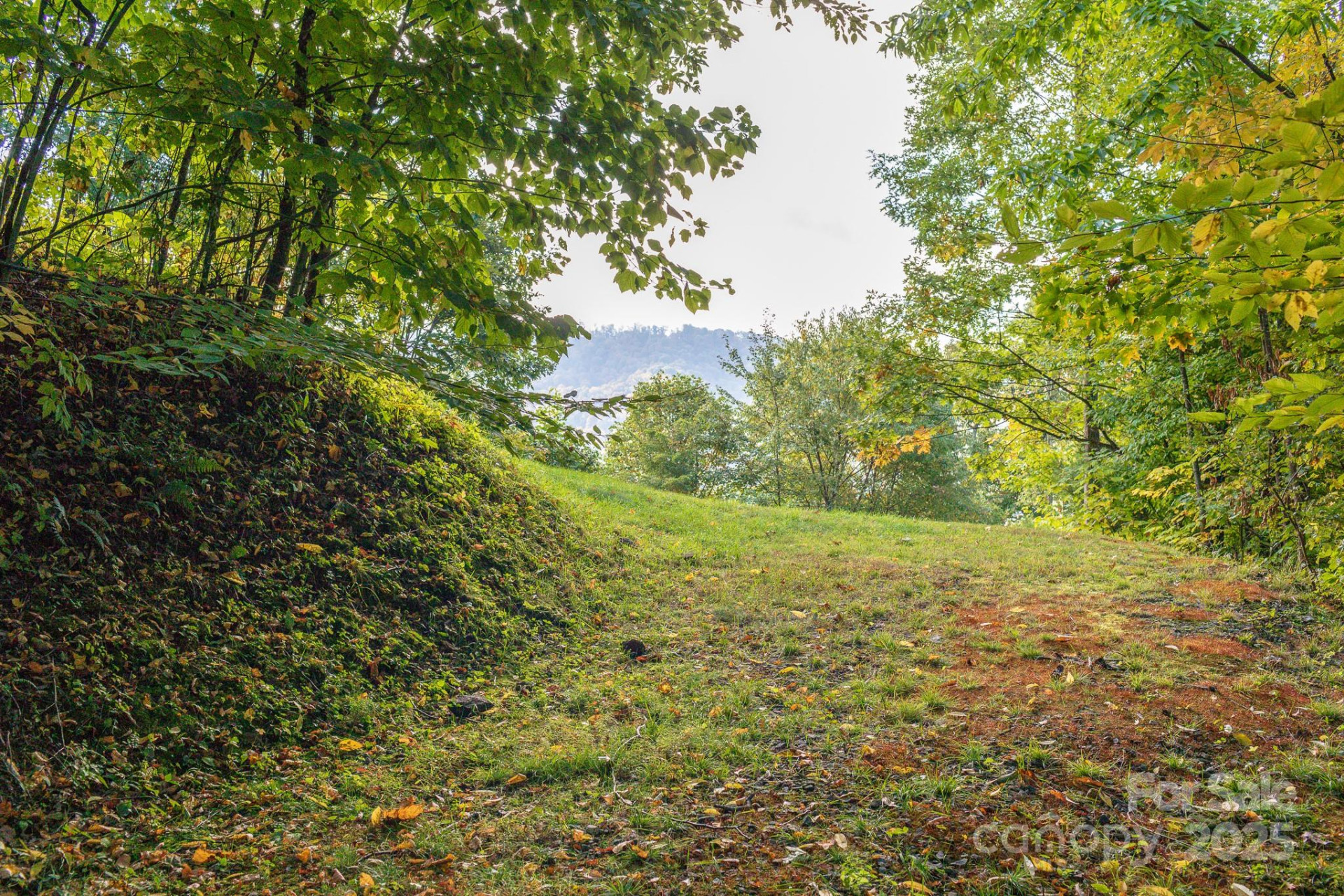 Lot 2 Ball Hooter Road #2/6 - Photo 15