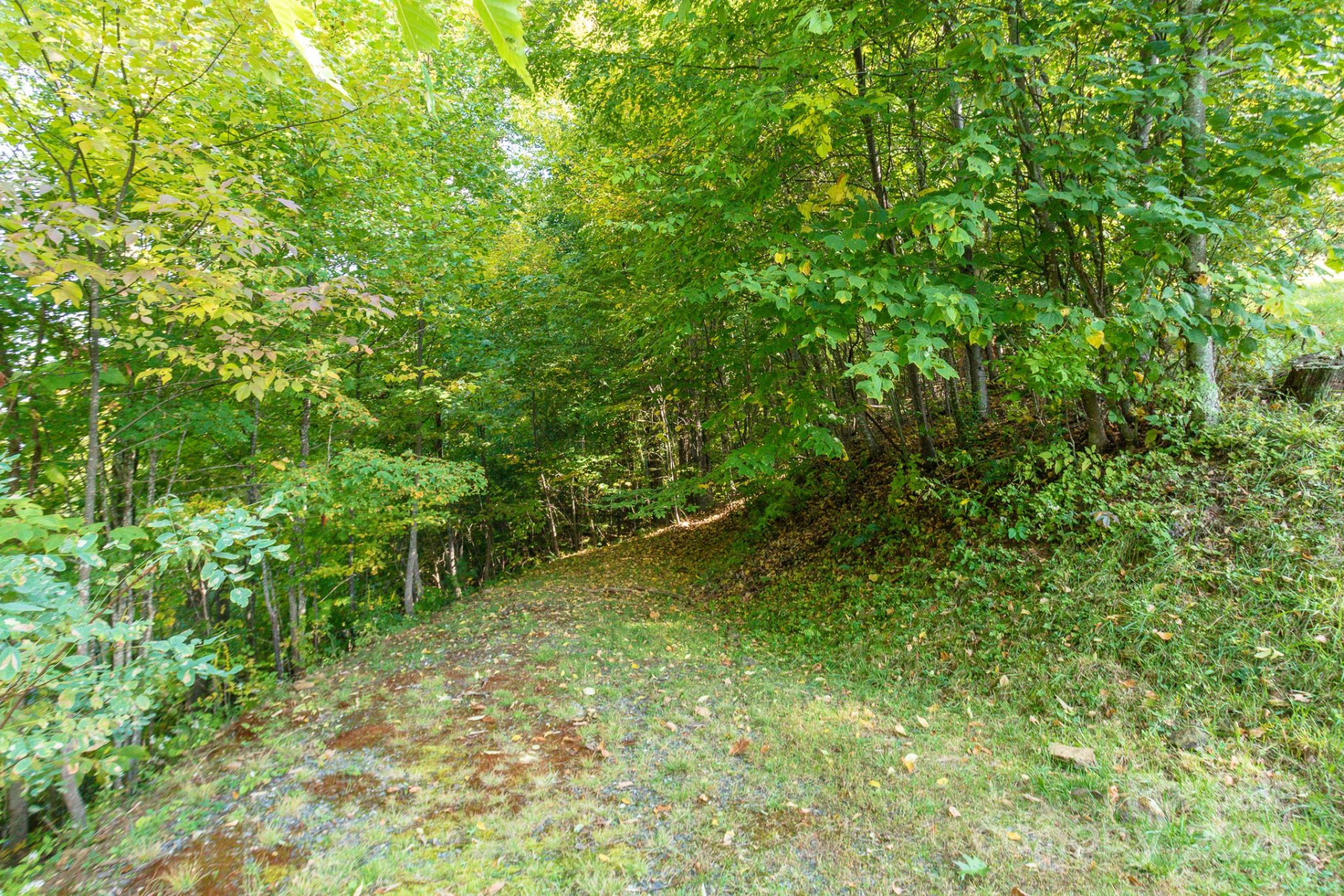 Lot 2 Ball Hooter Road #2/6 - Photo 17