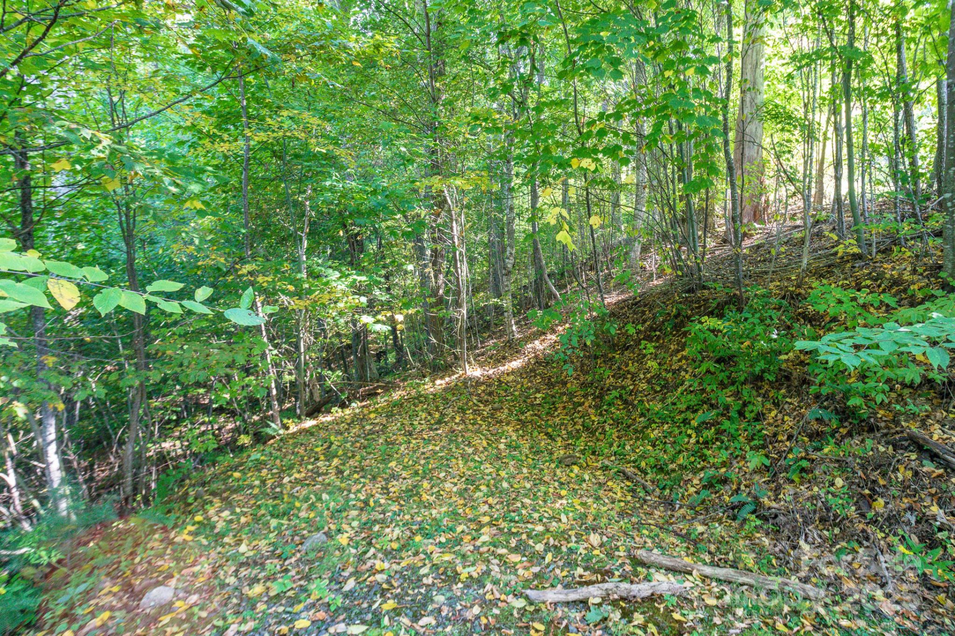 Lot 2 Ball Hooter Road #2/6 - Photo 18