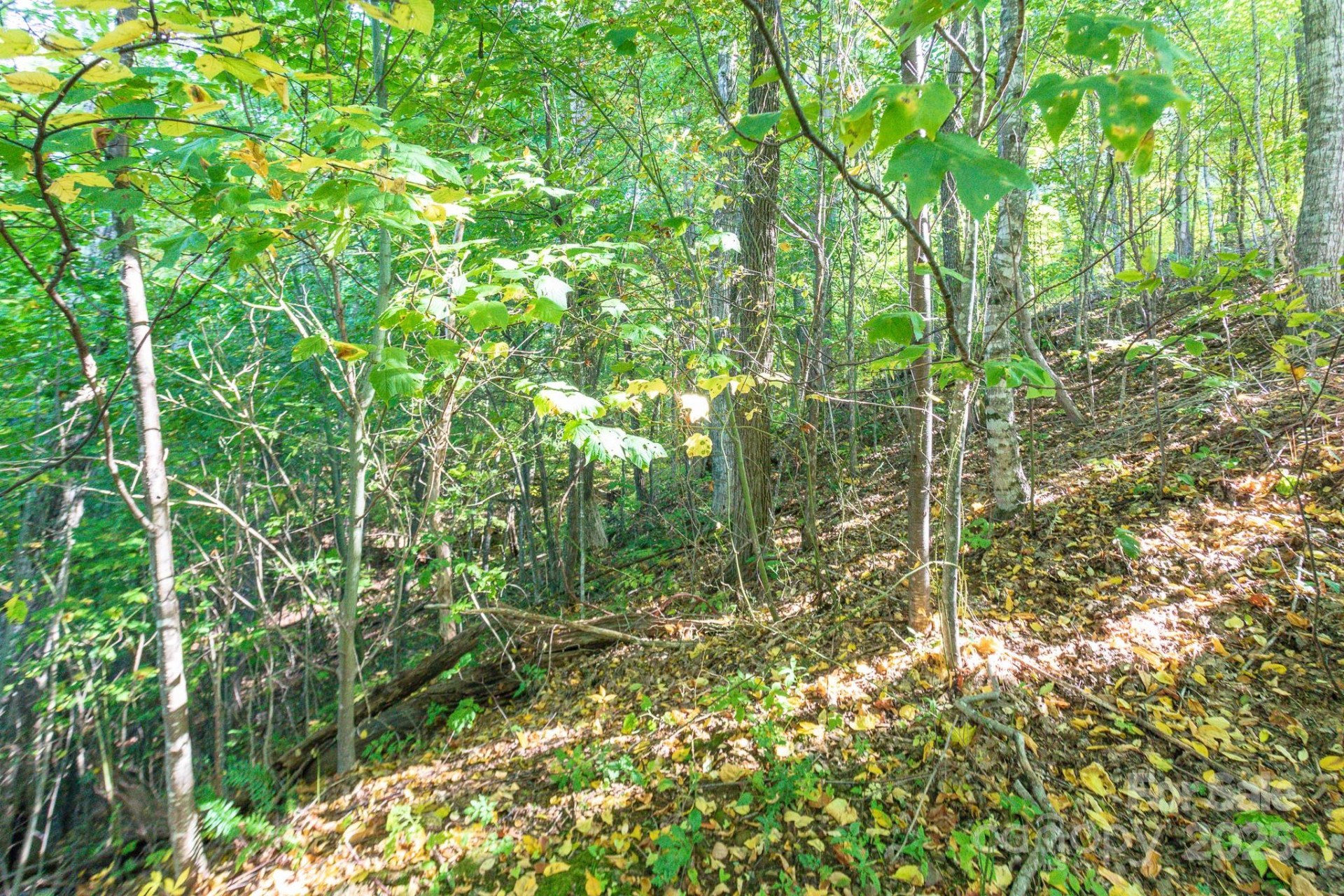 Lot 2 Ball Hooter Road #2/6 - Photo 19