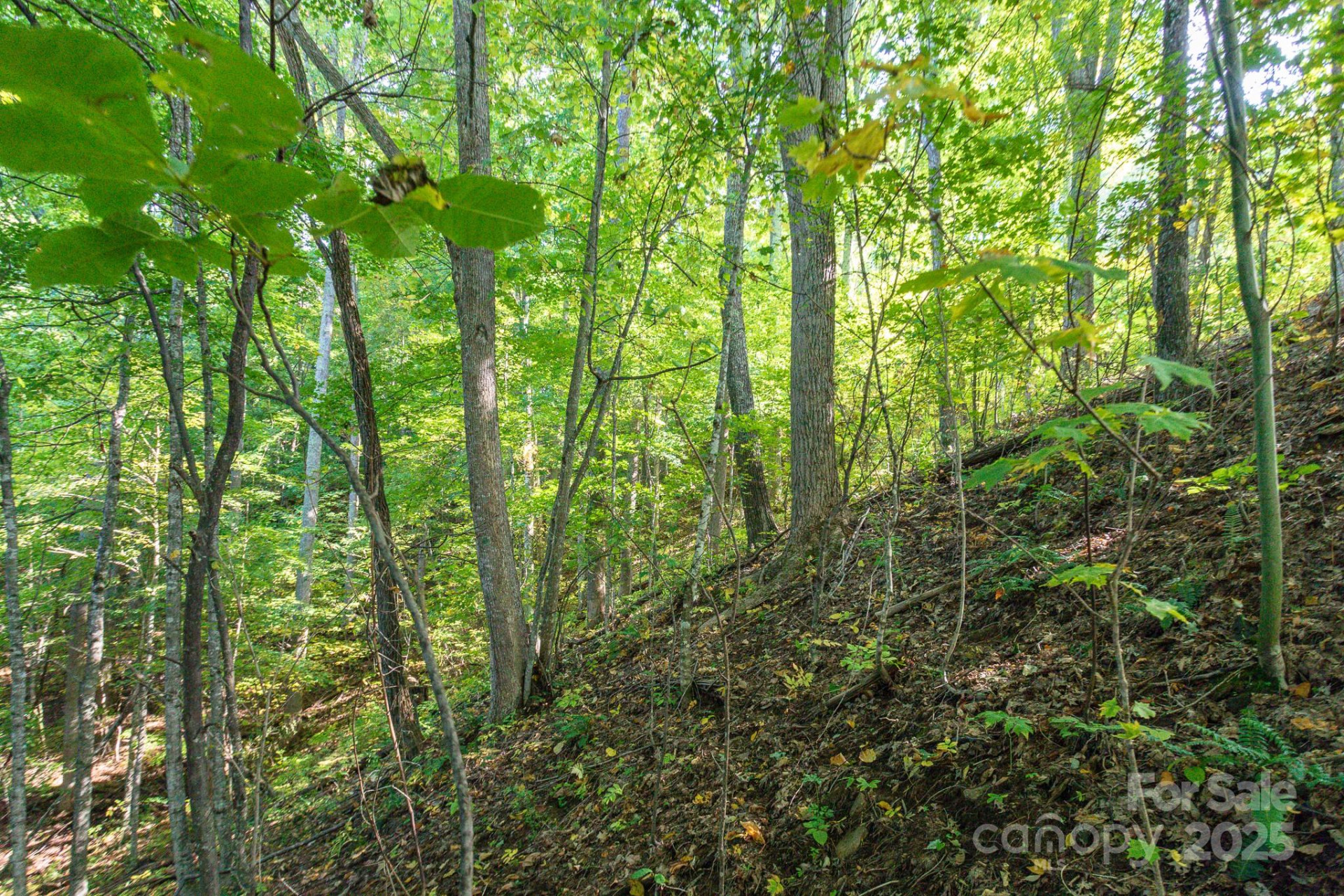 Lot 2 Ball Hooter Road #2/6 - Photo 20