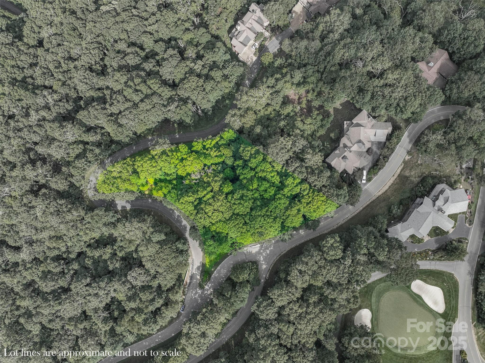 Lot 2 Ball Hooter Road #2/6 - Photo 3