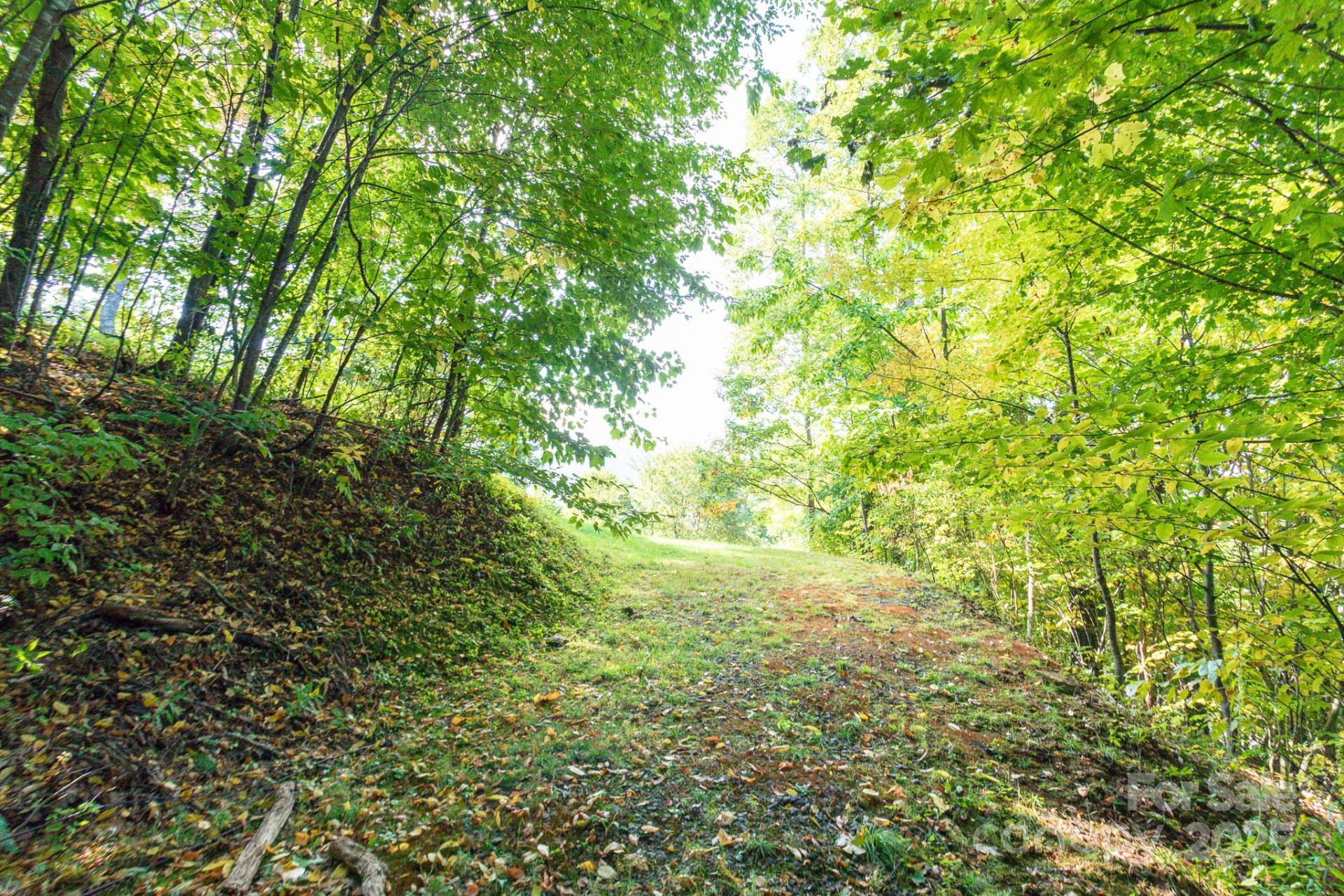 Lot 2 Ball Hooter Road #2/6 - Photo 21