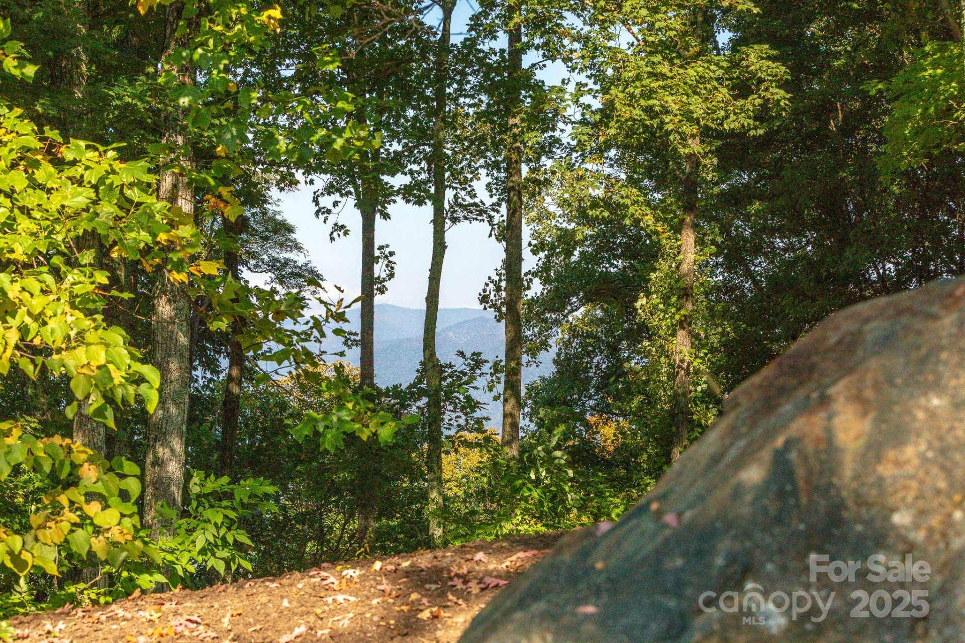 Lot 2 Ball Hooter Road #2/6 - Photo 24