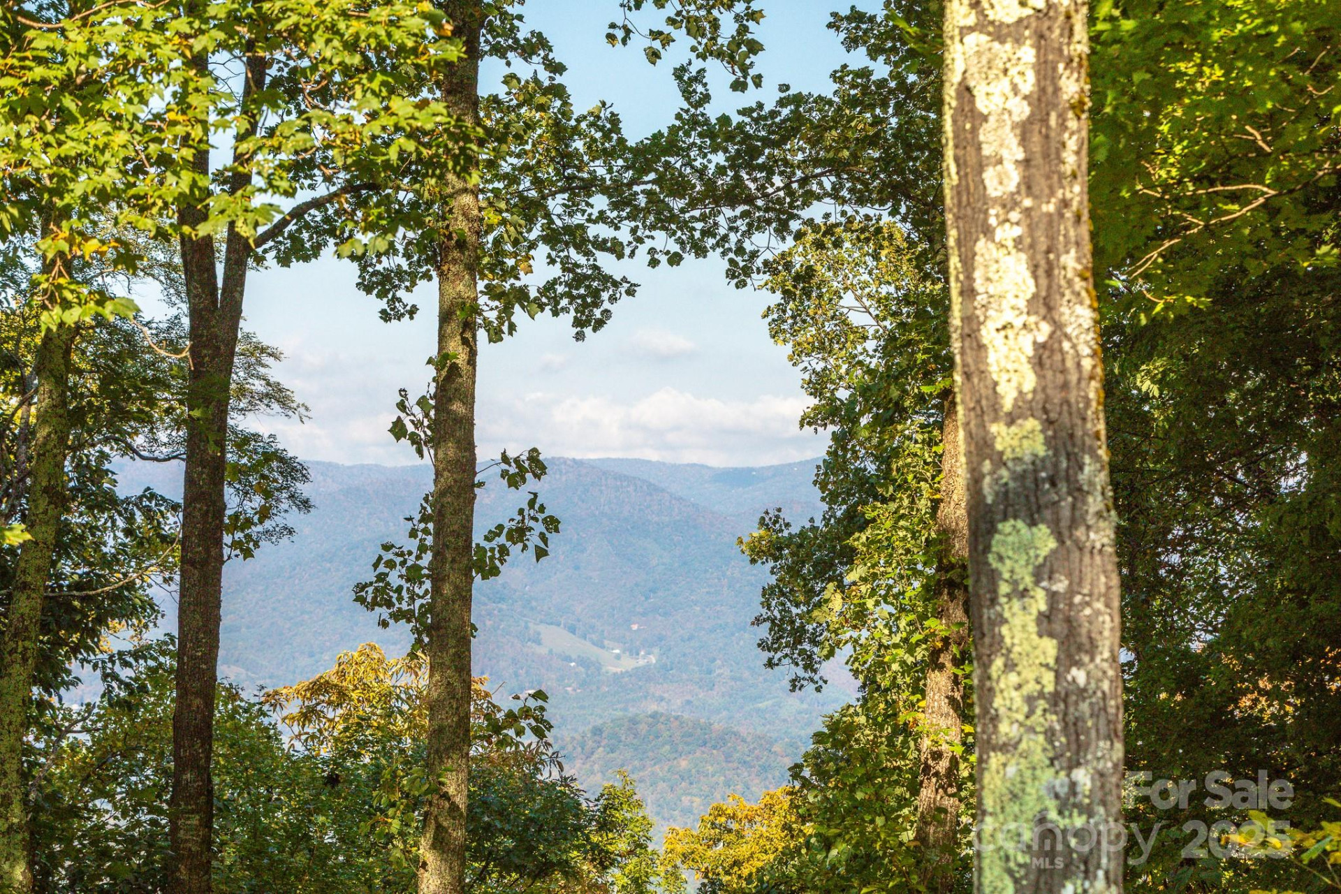 Lot 2 Ball Hooter Road #2/6 - Photo 25