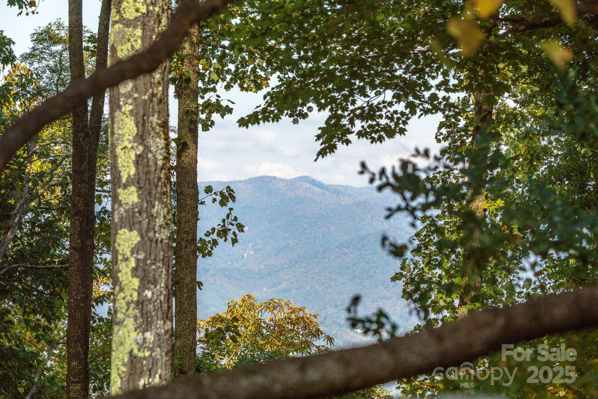 Lot 2 Ball Hooter Road #2/6 - Photo 4