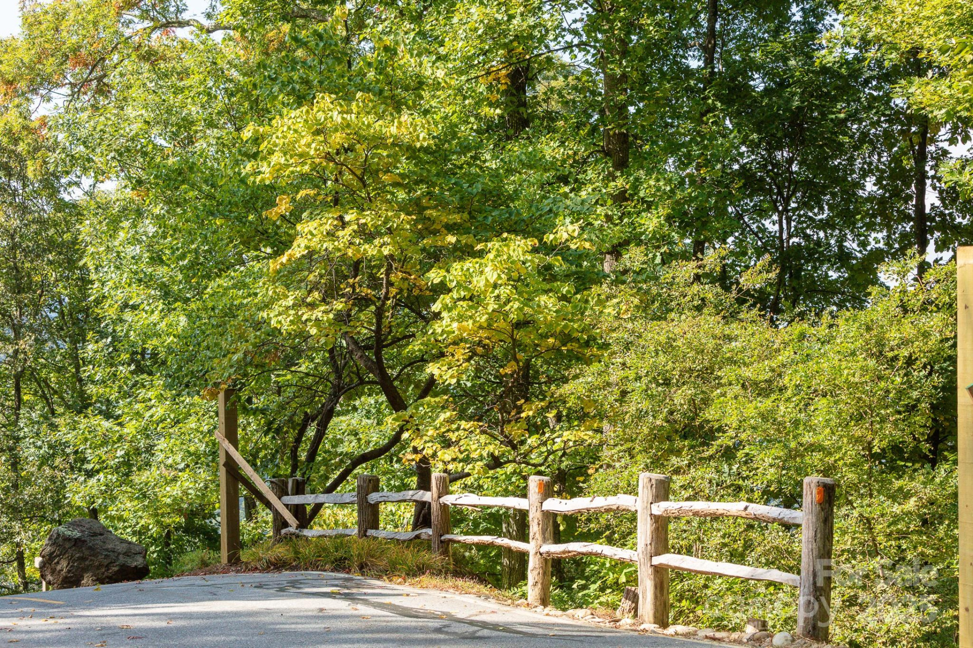 Lot 2 Ball Hooter Road #2/6 - Photo 9