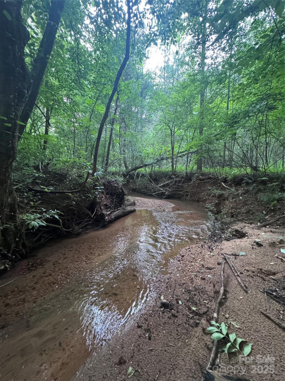 0 Clearwater Parkway #203