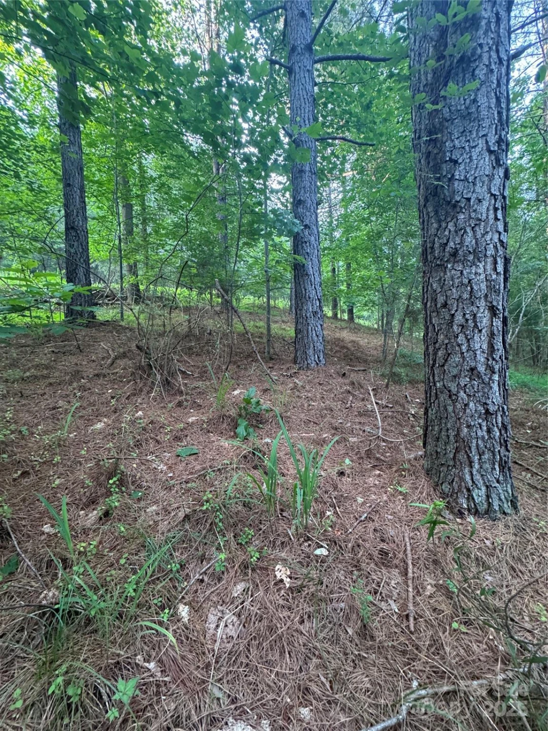 0 Clearwater Parkway #203 - Photo 2