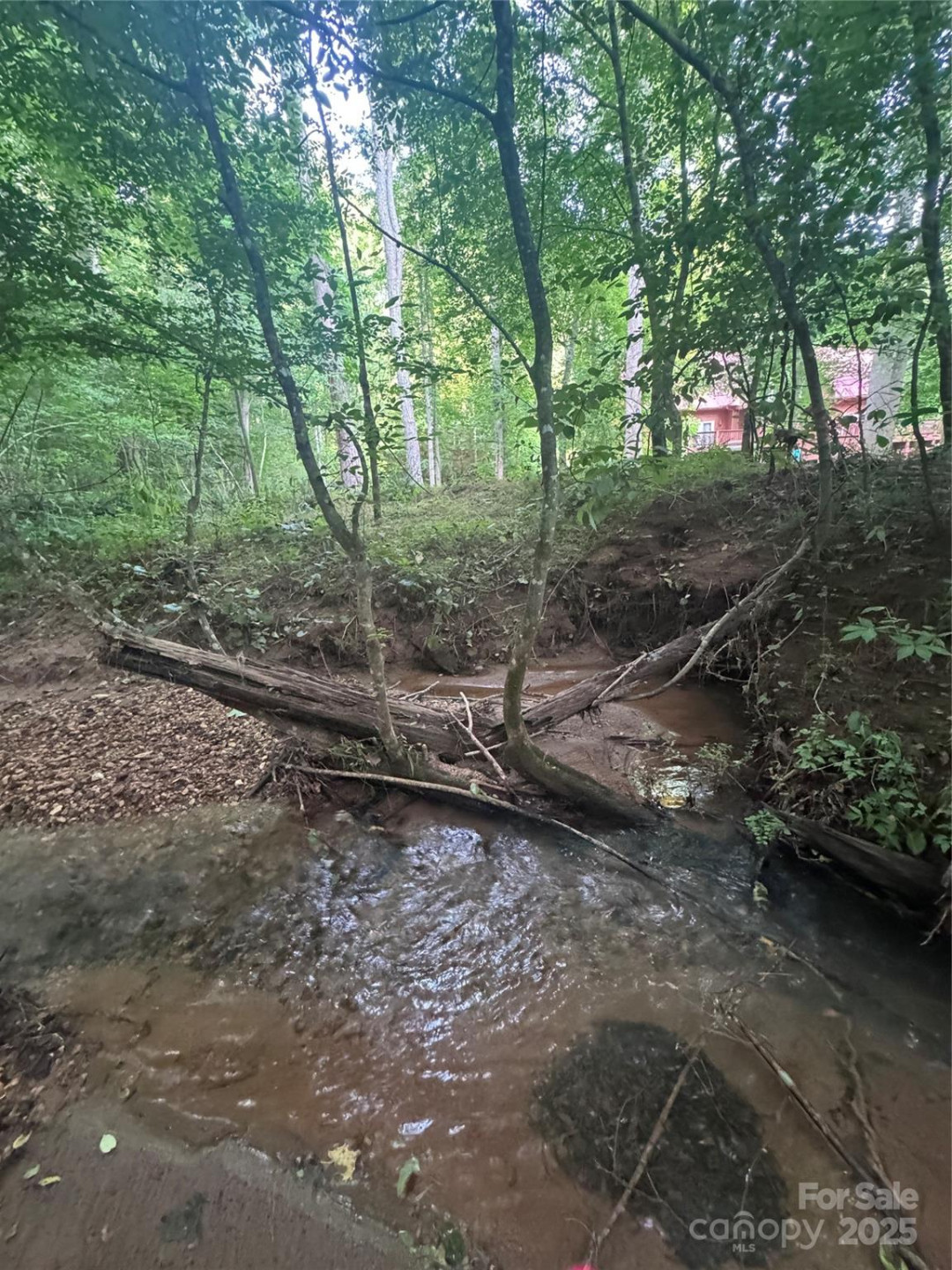 0 Clearwater Parkway #203 - Photo 12