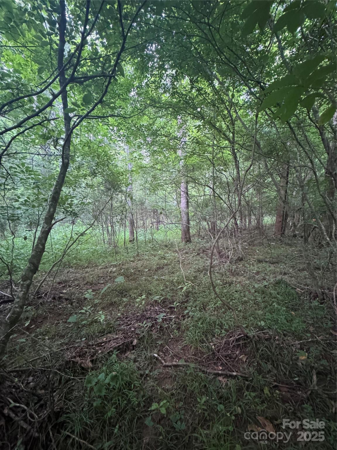 0 Clearwater Parkway #203 - Photo 13