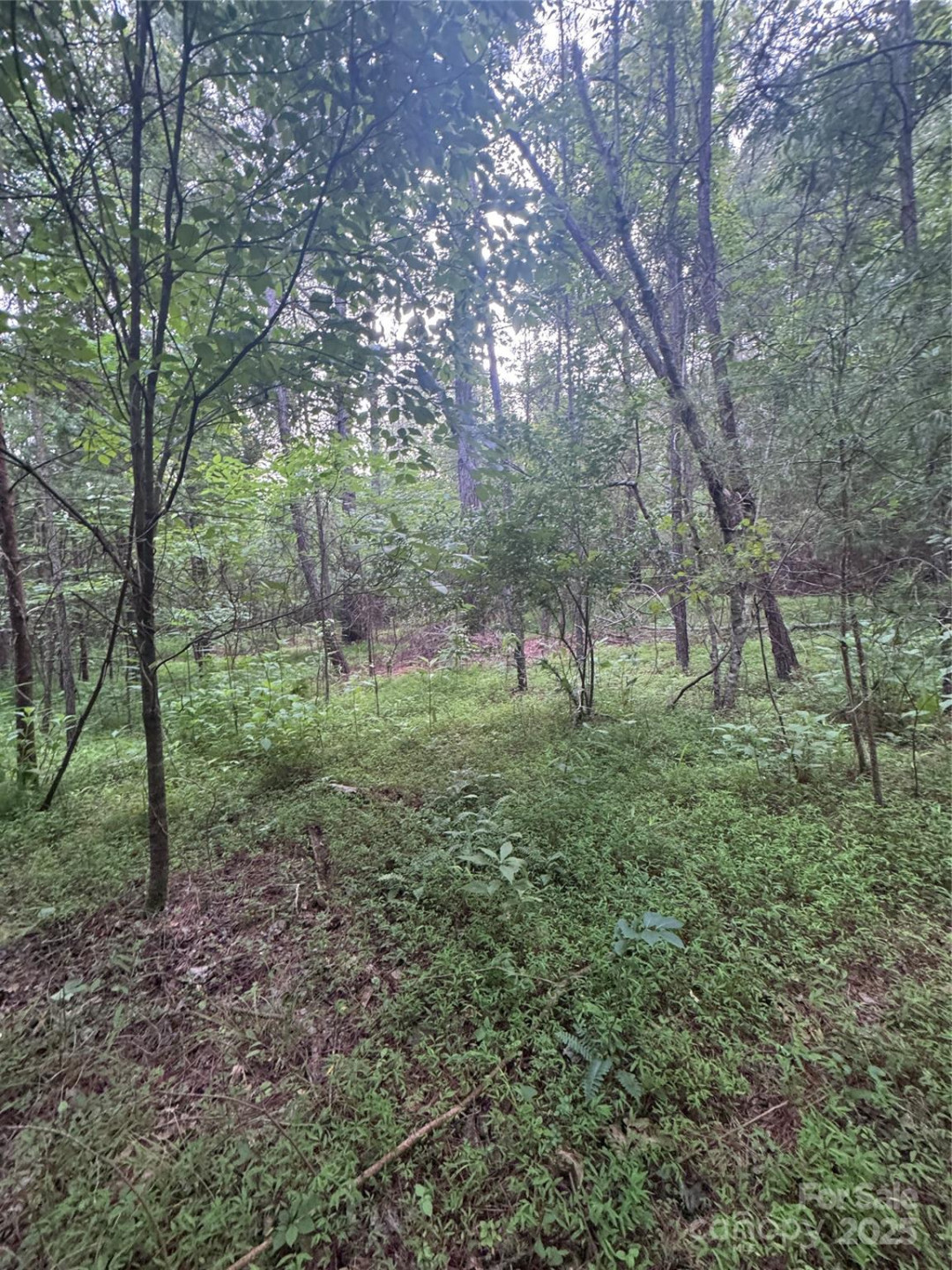 0 Clearwater Parkway #203 - Photo 14