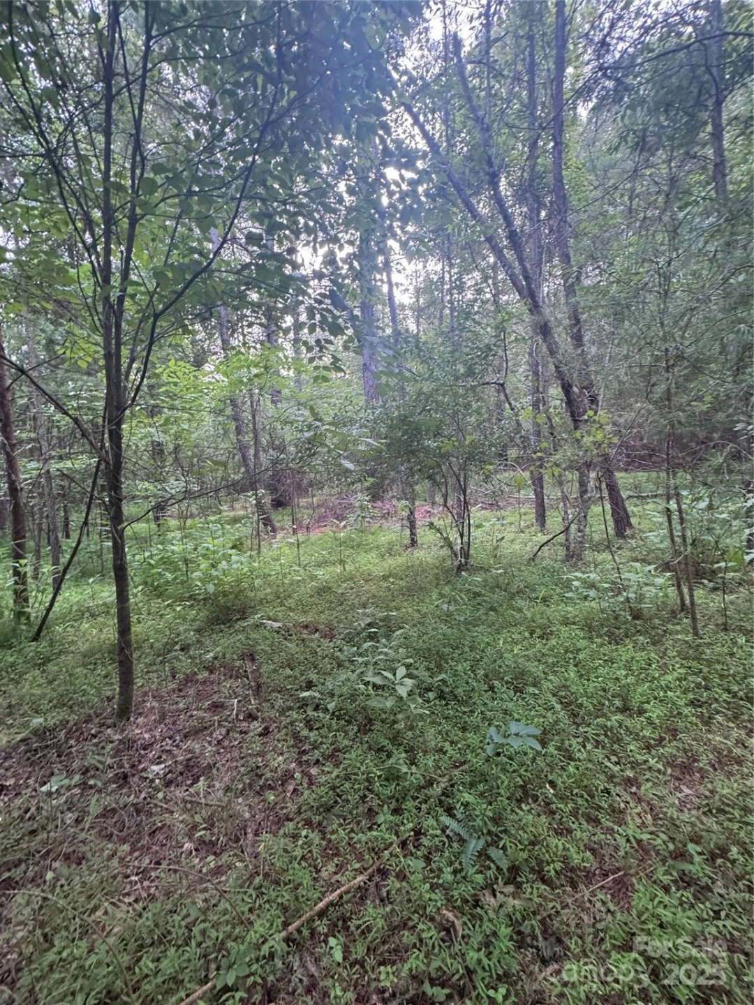 0 Clearwater Parkway #203 - Photo 14