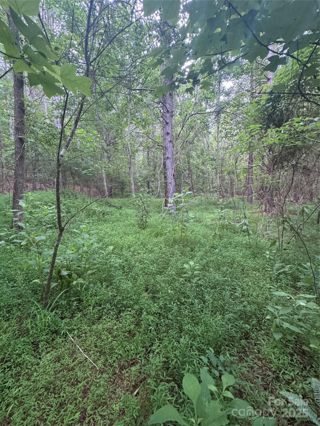 0 Clearwater Parkway #203 - Photo 15