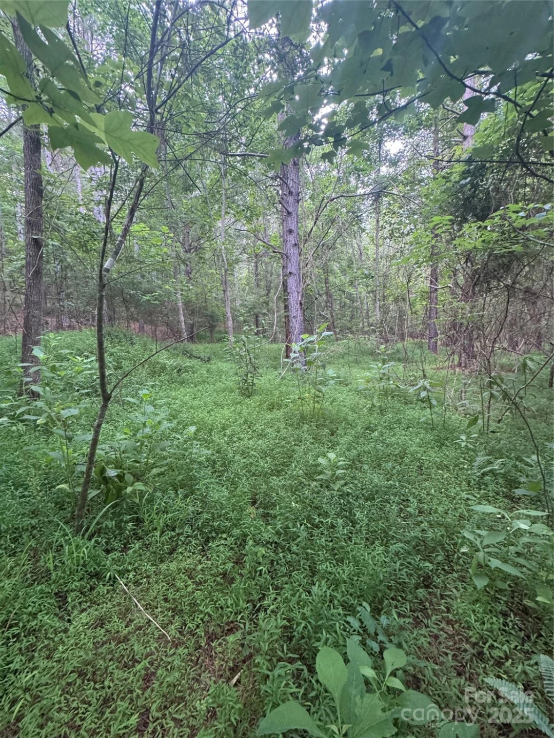 0 Clearwater Parkway #203 - Photo 15