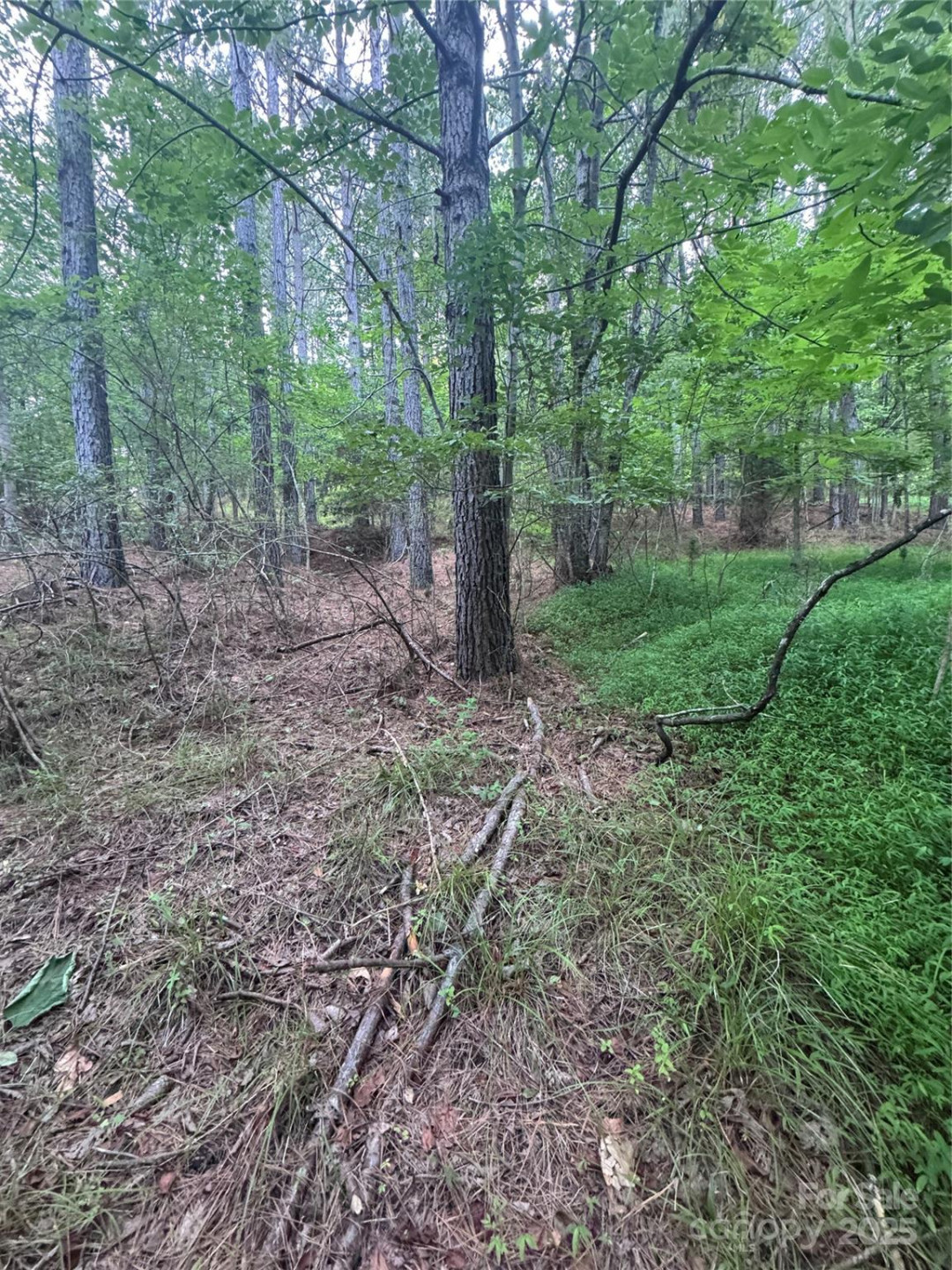 0 Clearwater Parkway #203 - Photo 16